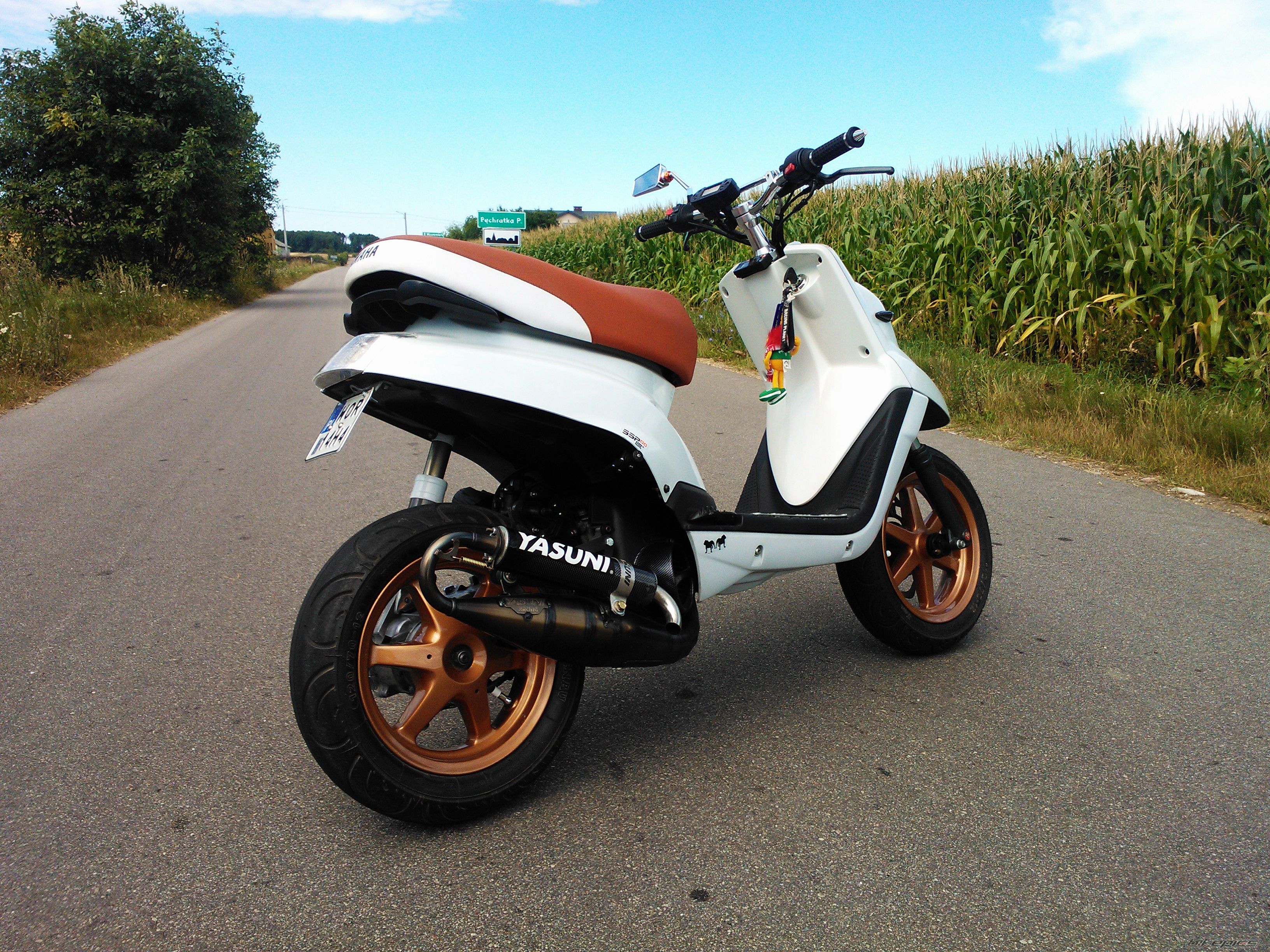 Photo 2584296