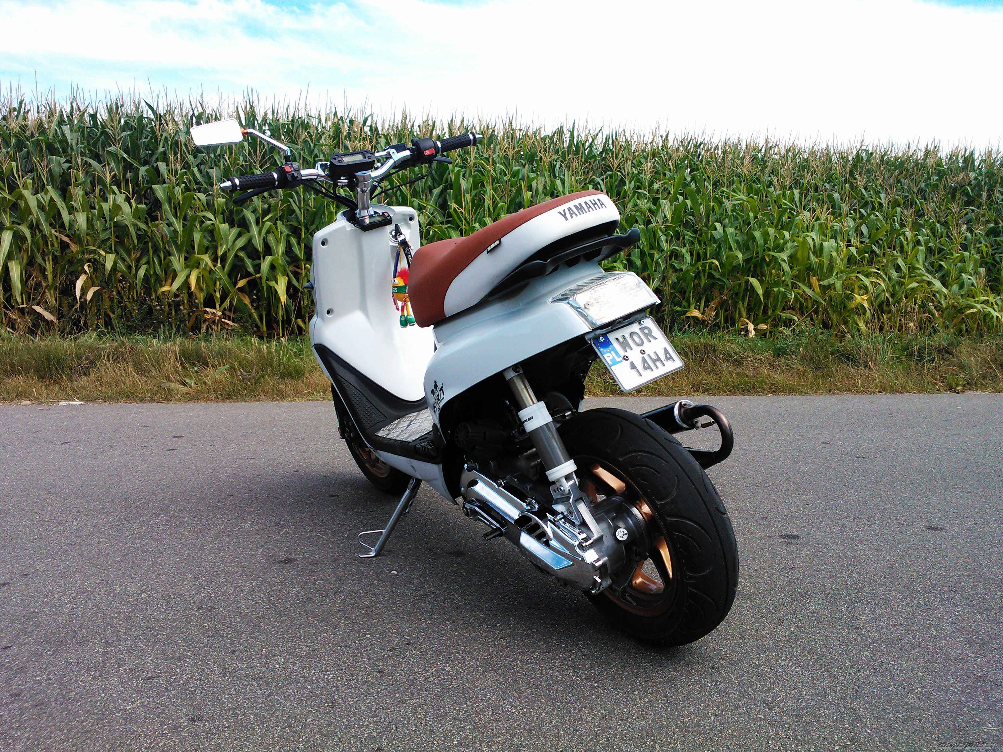 Photo 2584297
