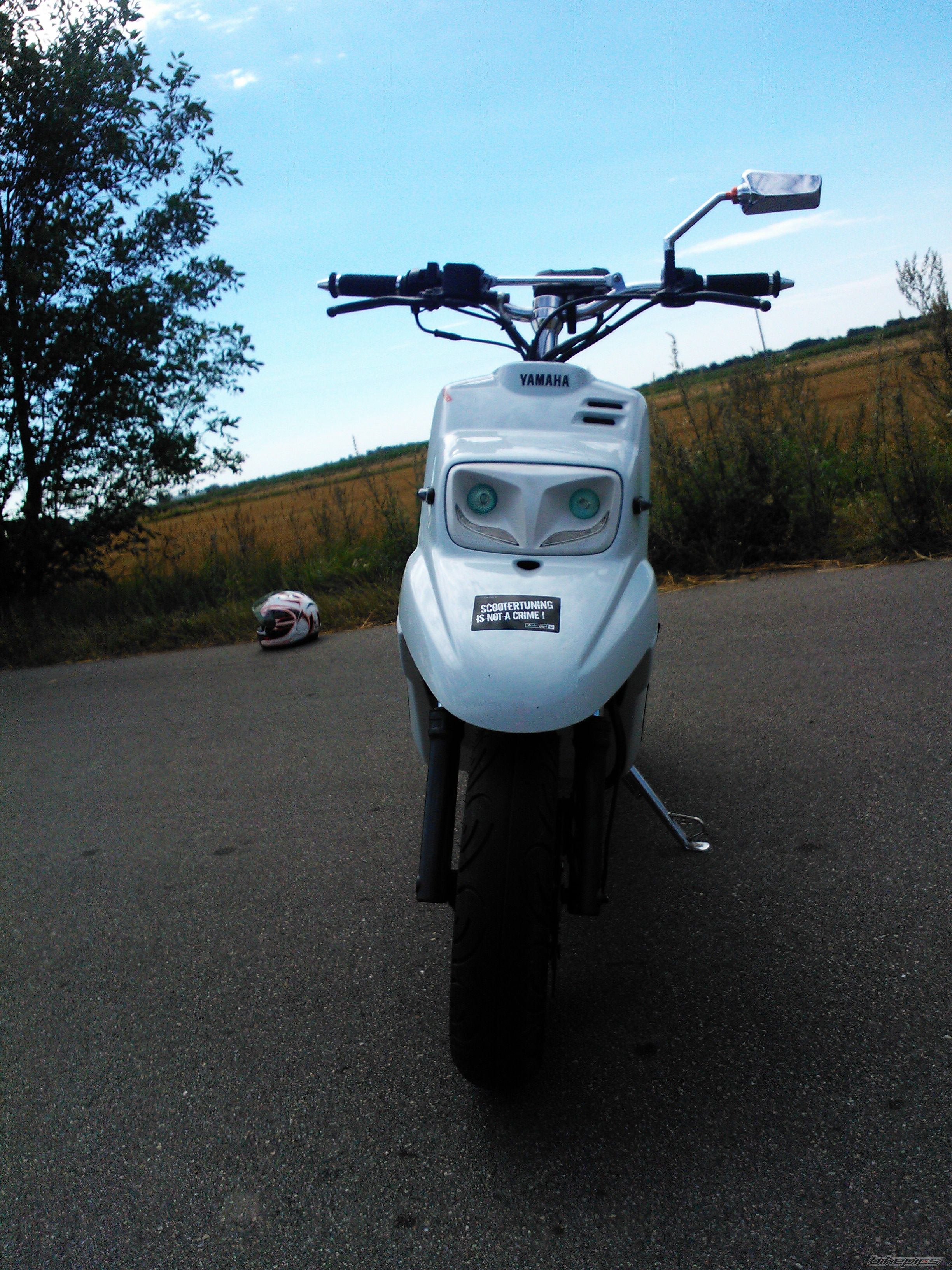 Photo 2584299
