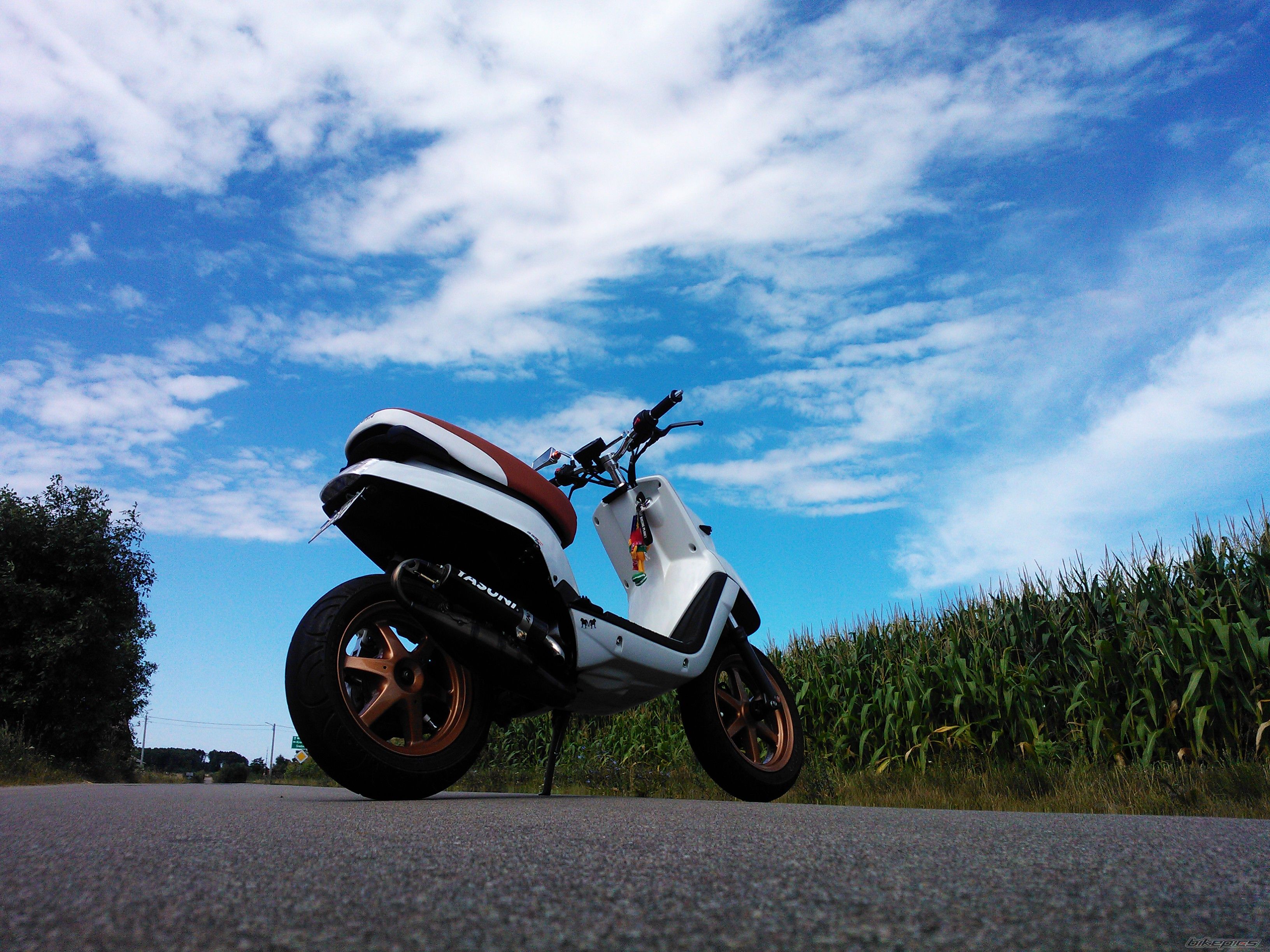 Photo 2584304