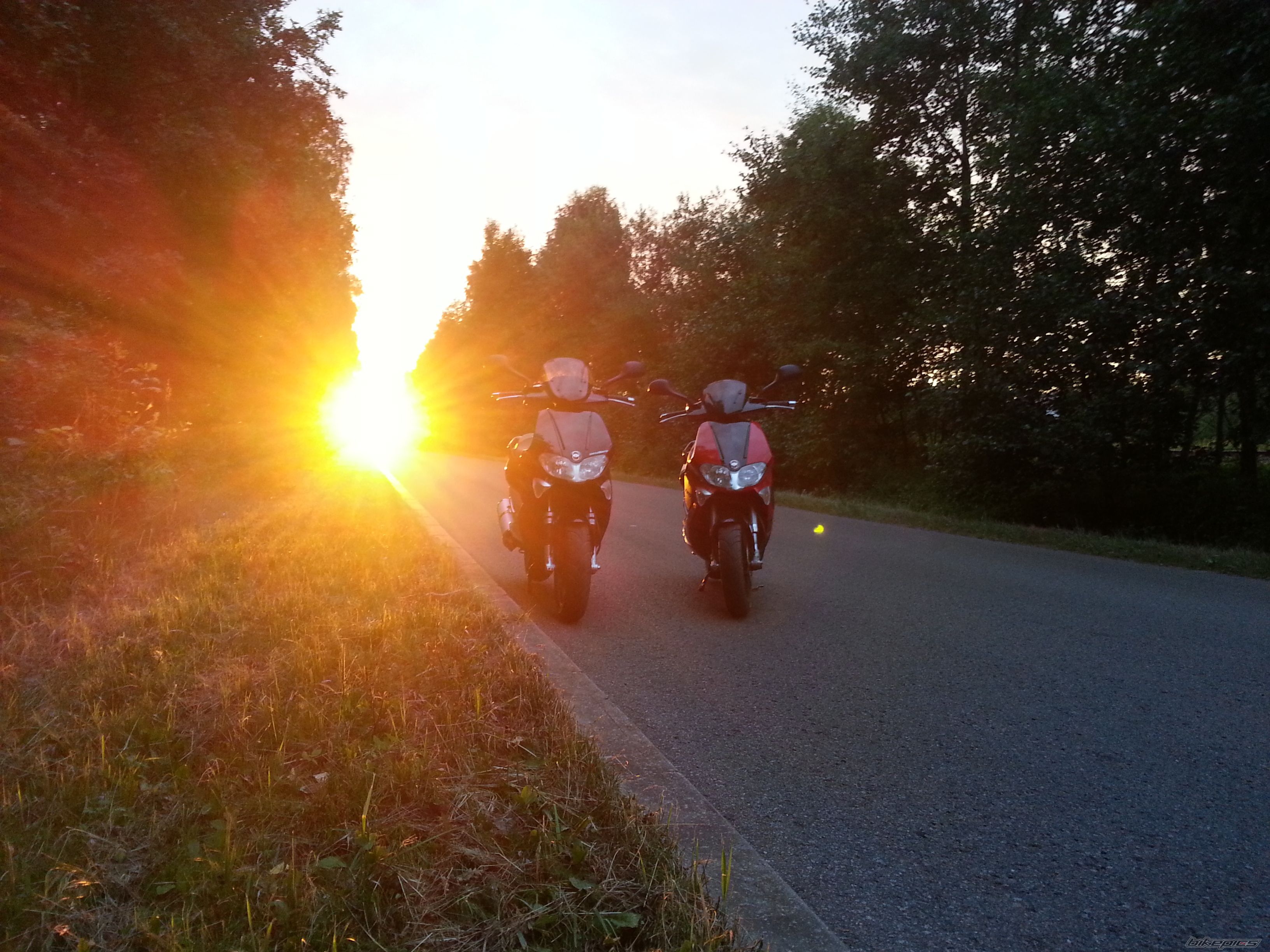 Photo 2584368