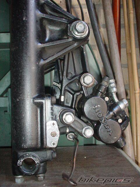 Photo 258437