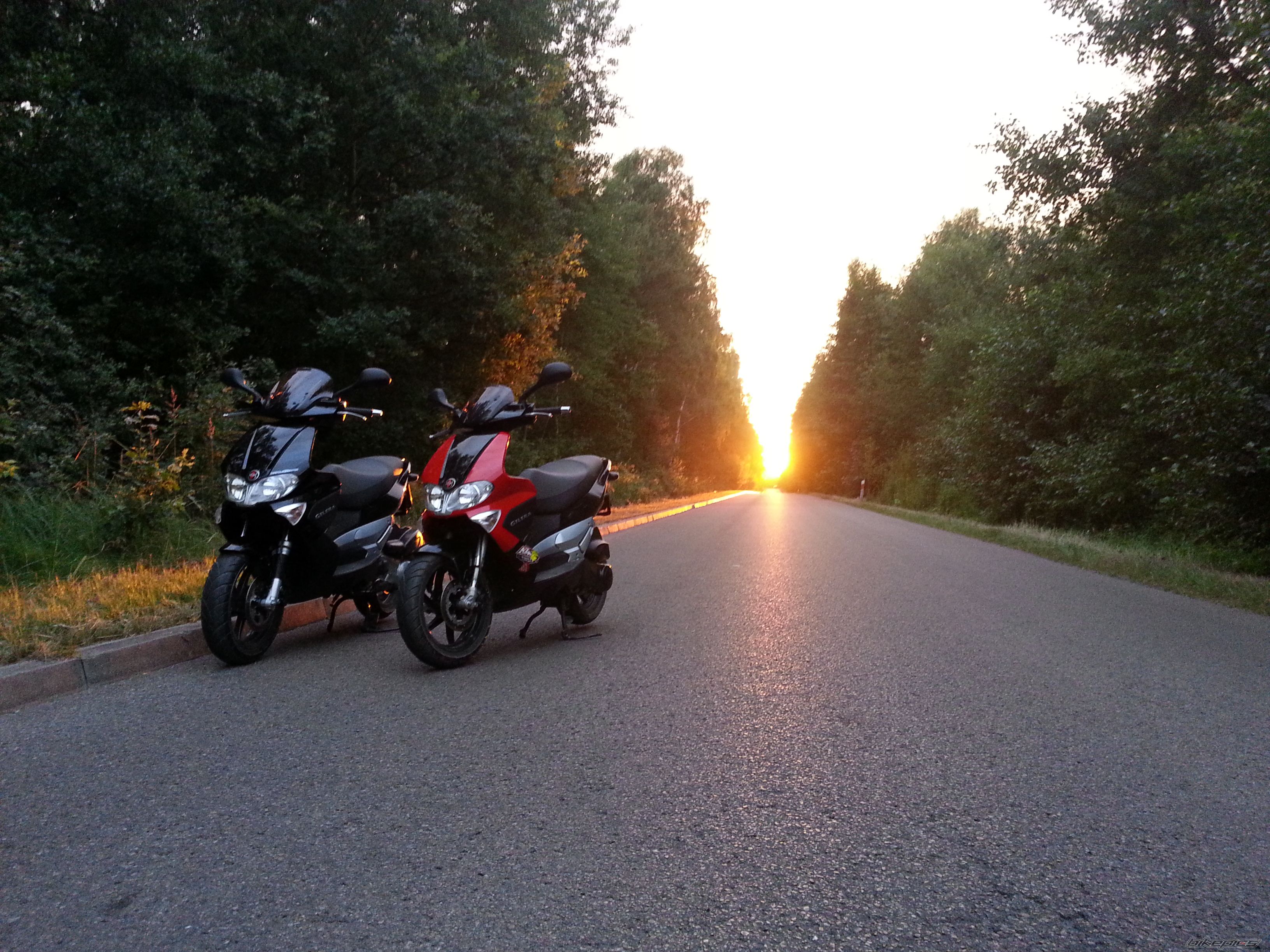 Photo 2584370
