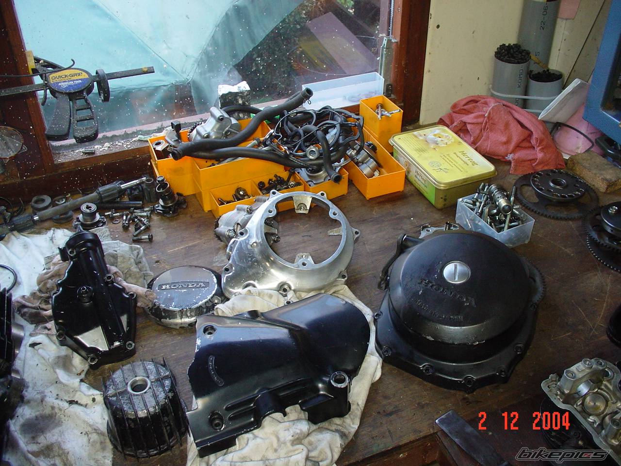 Photo 258439