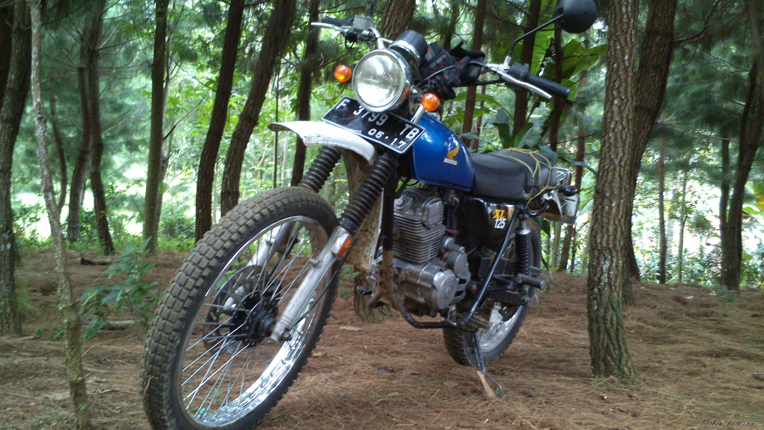 Photo 2584468