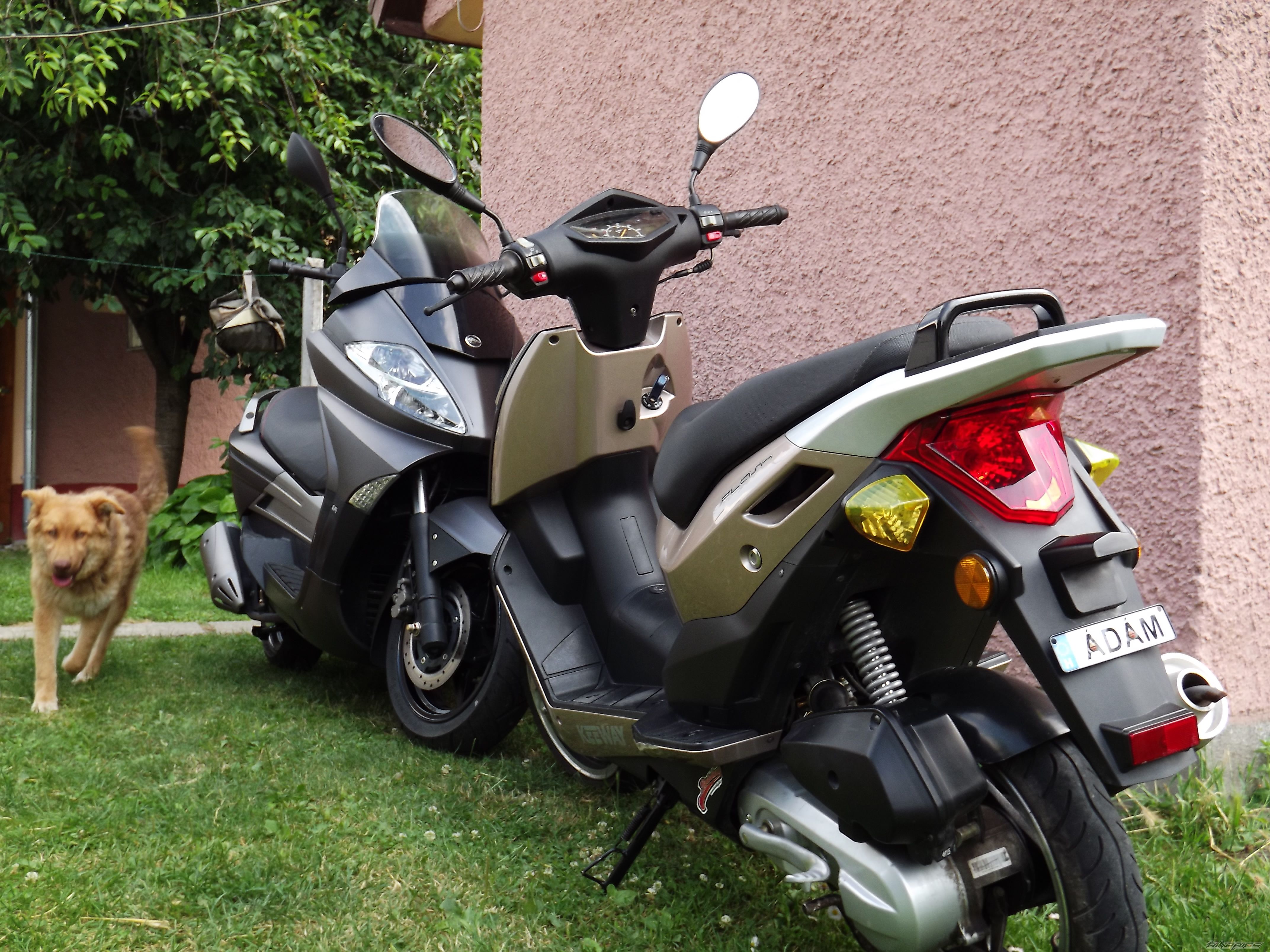 Photo 2584496