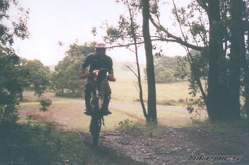 Photo 258451