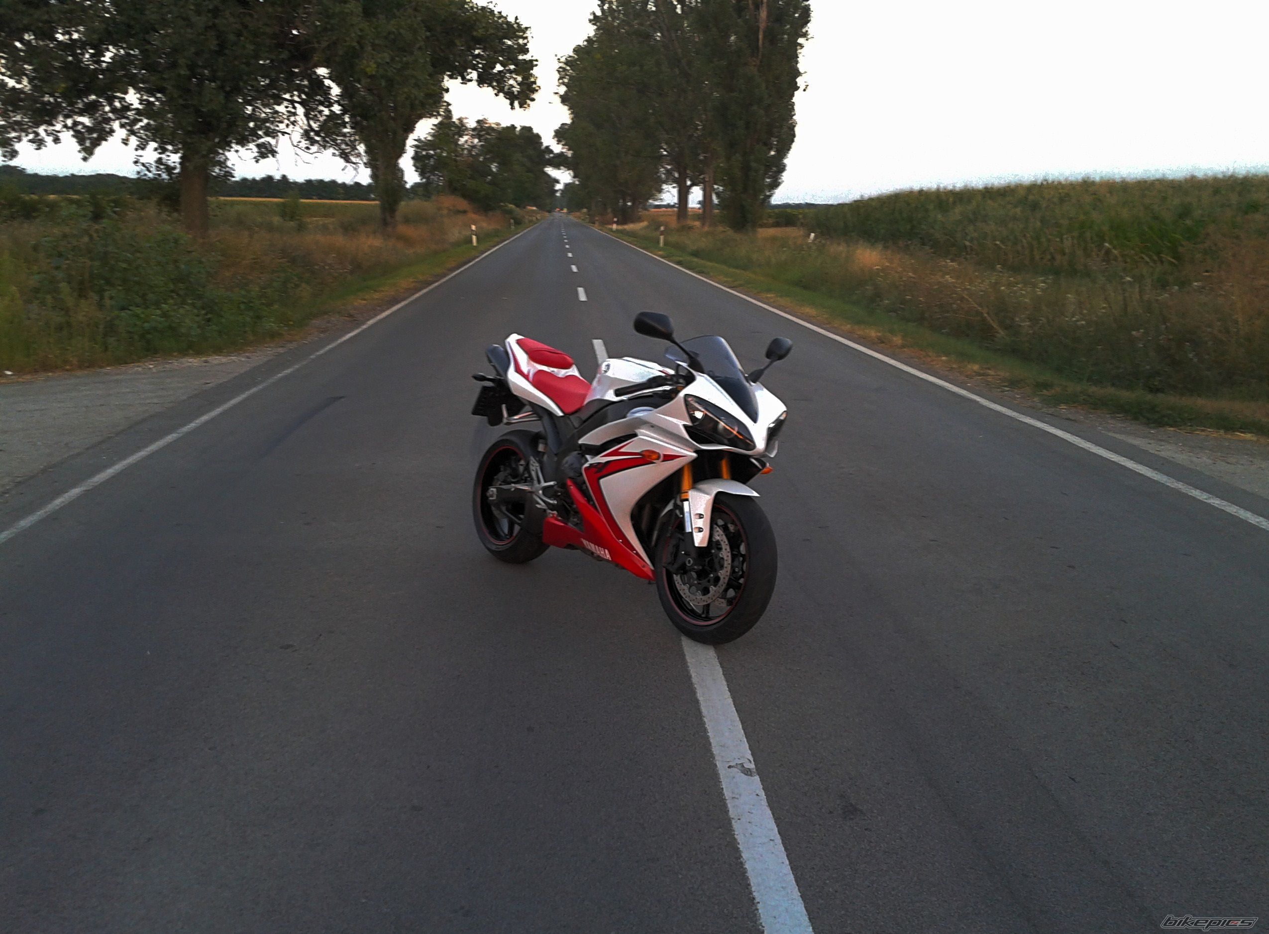 Photo 2584578