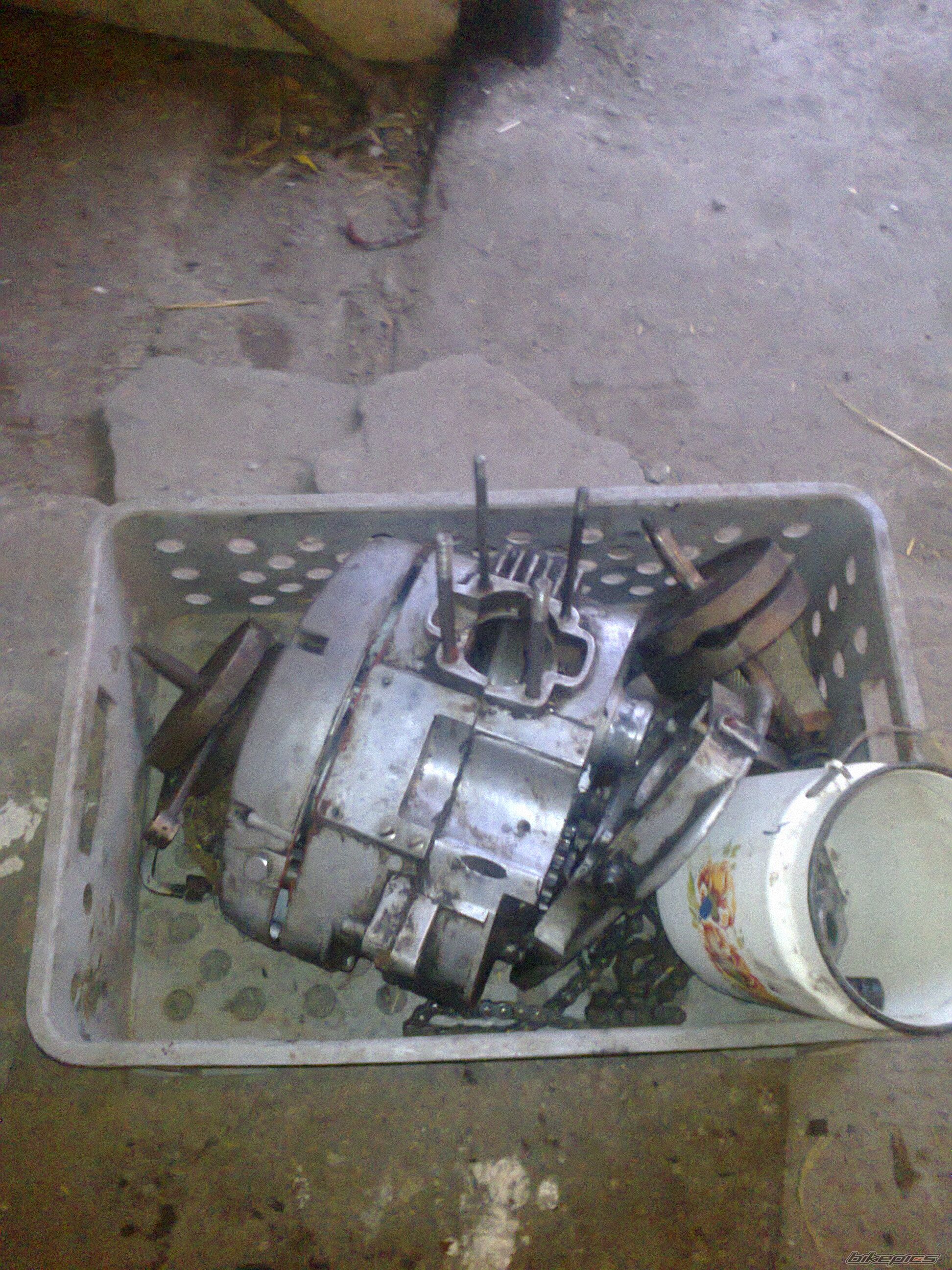 Photo 2584589