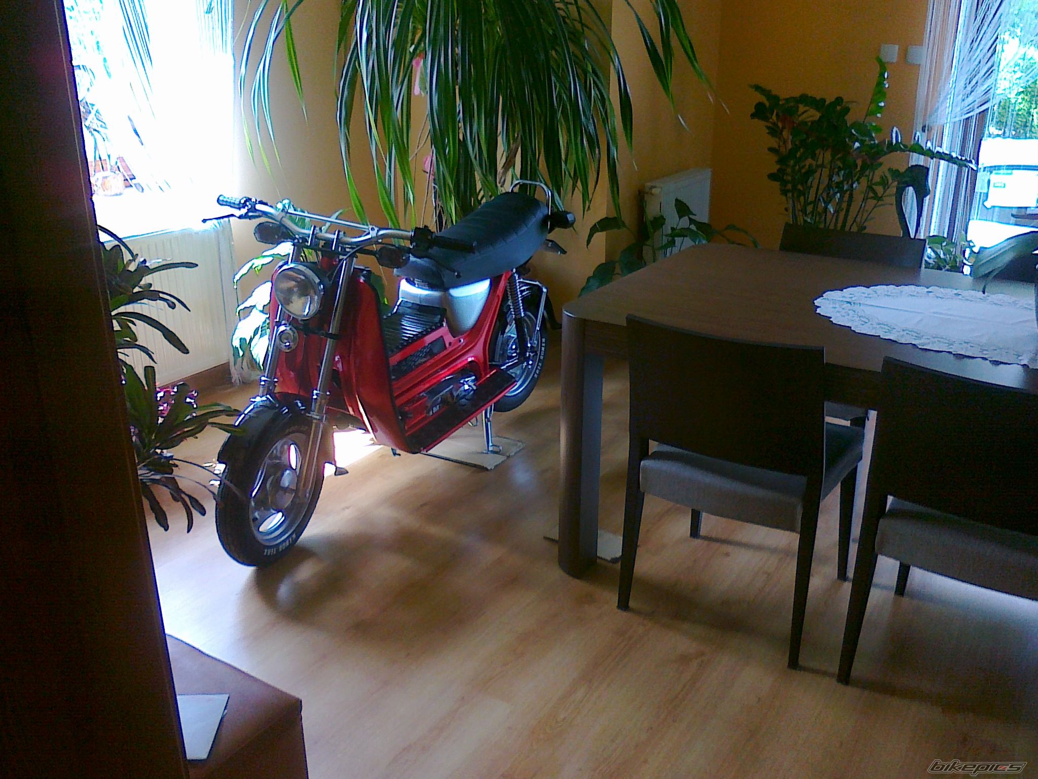 Photo 2584590