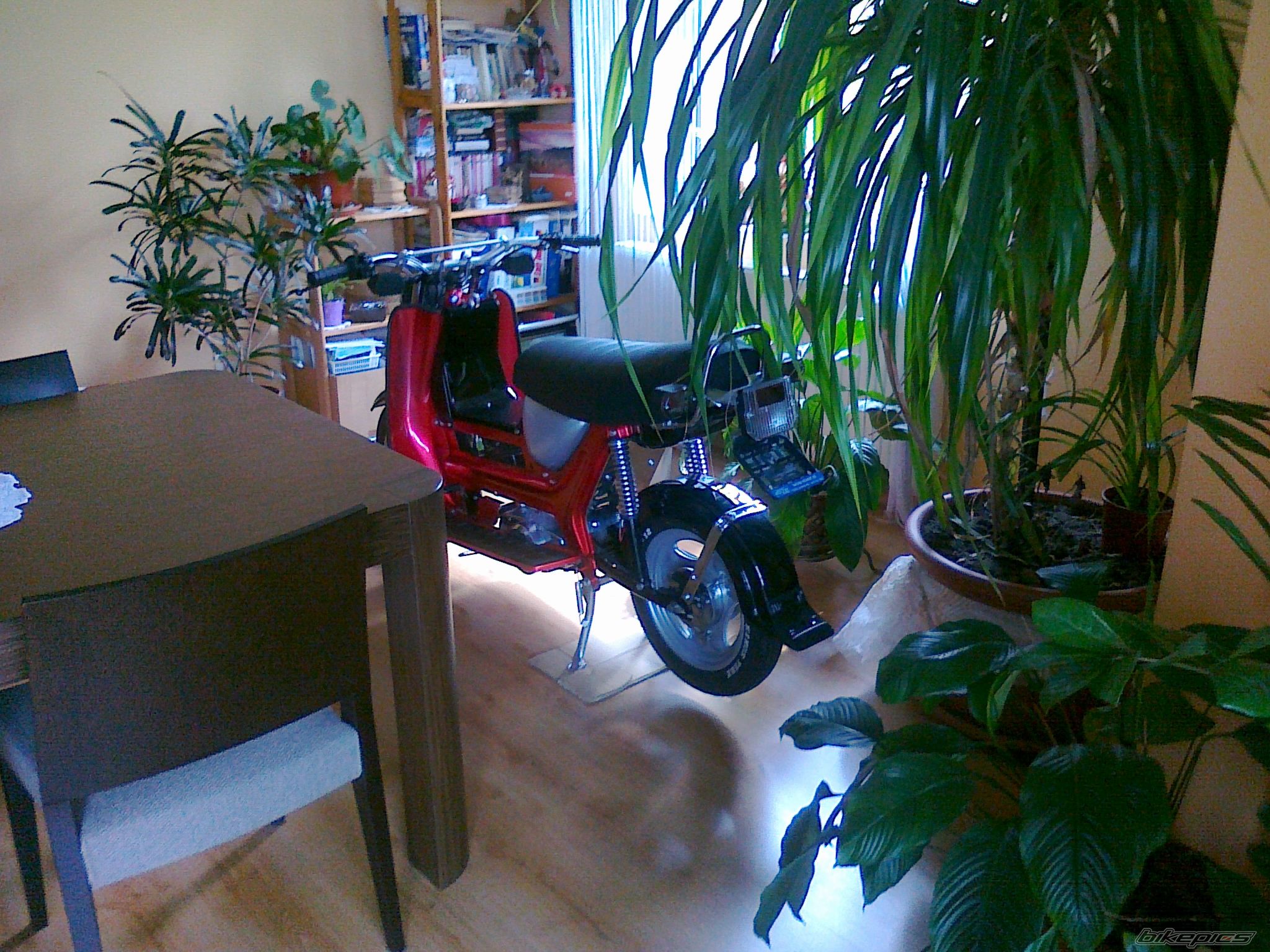 Photo 2584591
