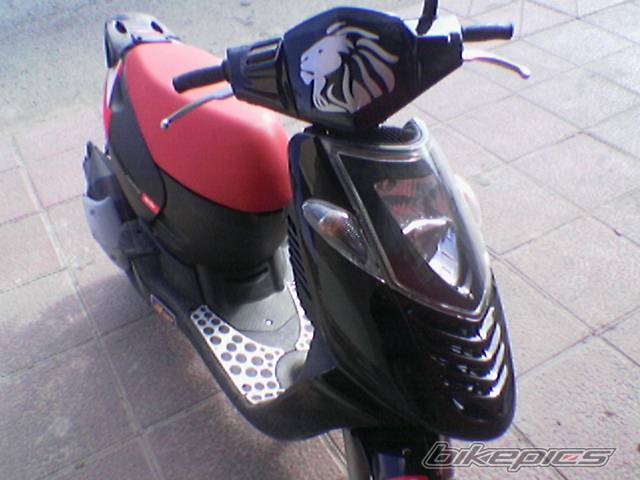 Photo 258462