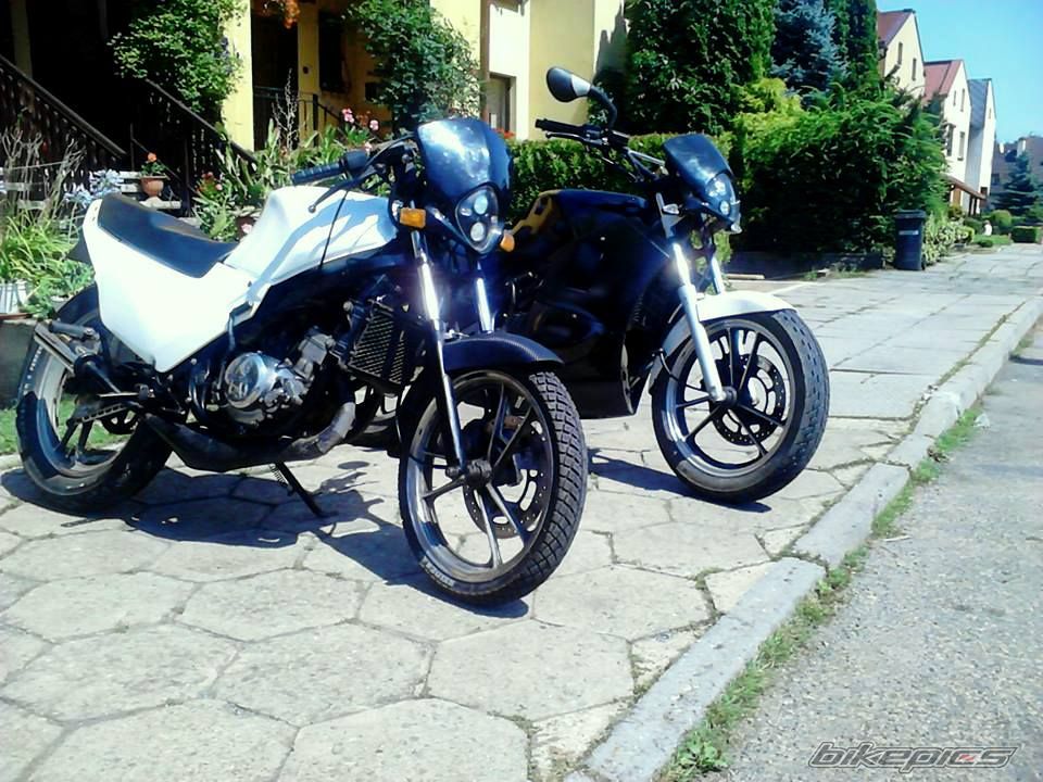 Photo 2584628