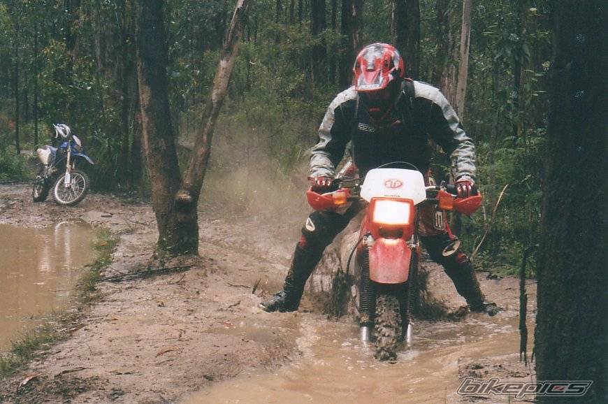 Bike Photo 258465