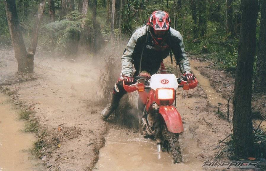 Bike Photo 258469