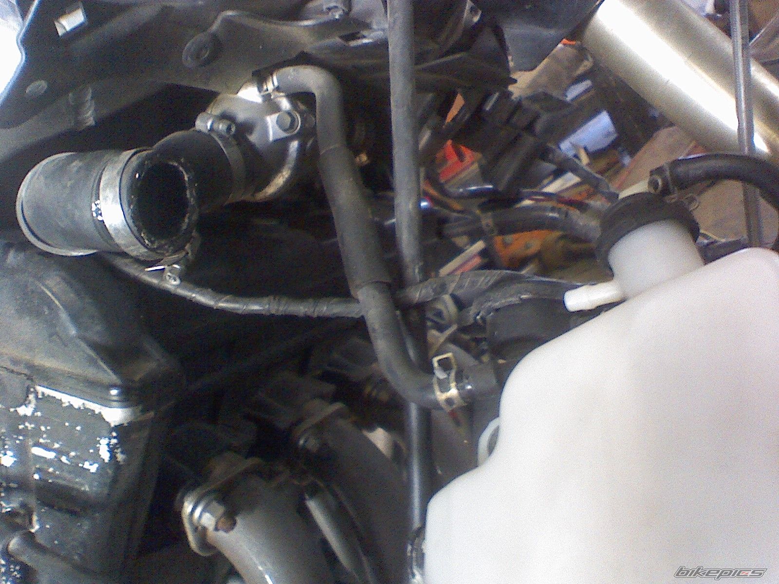 Photo 2584690