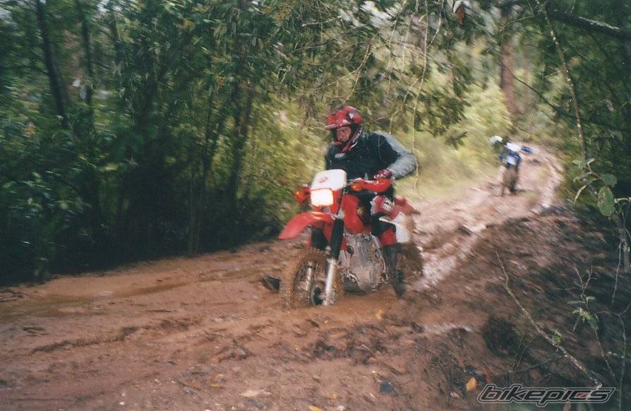 Photo 258473