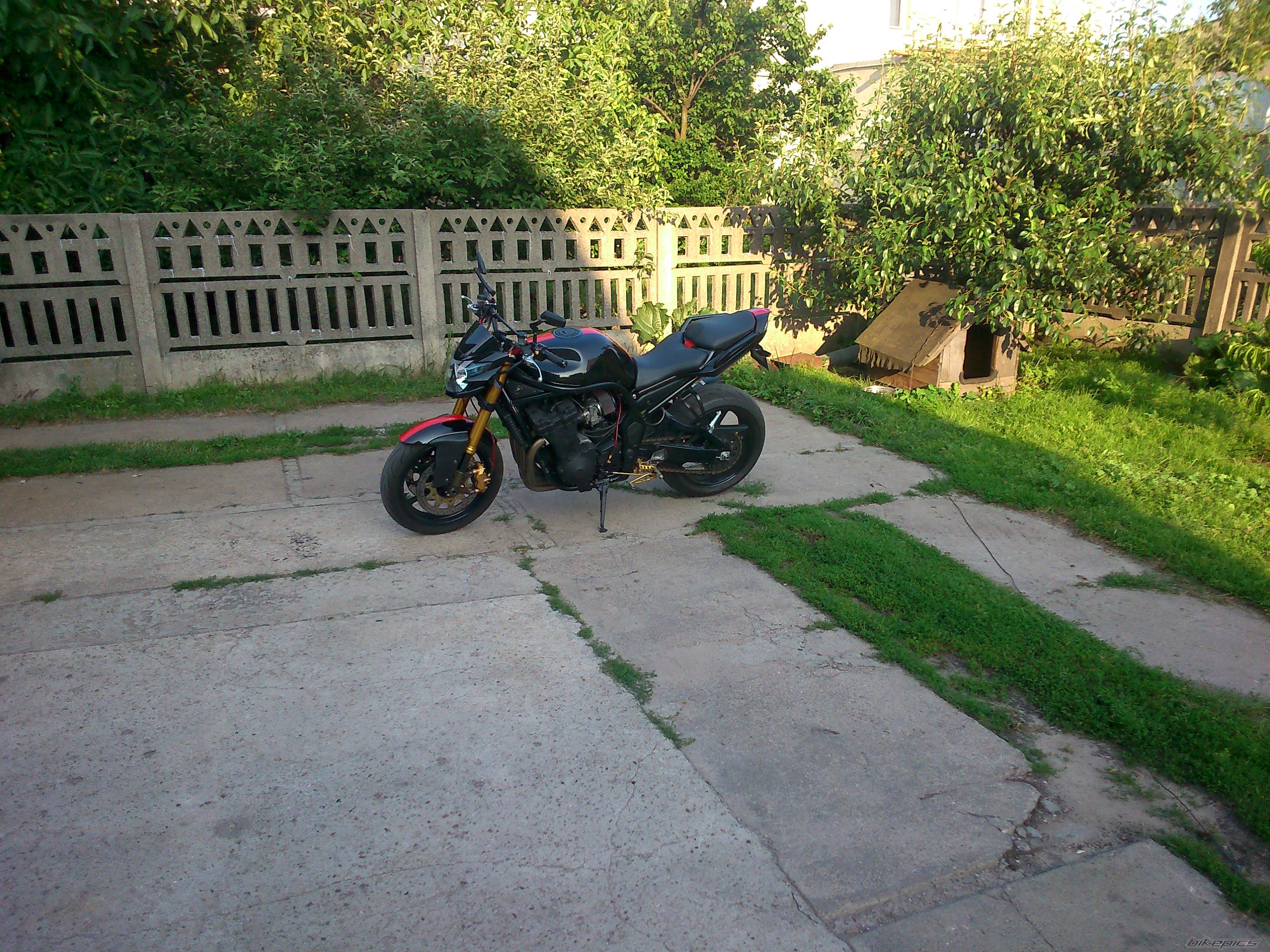 Photo 2584740