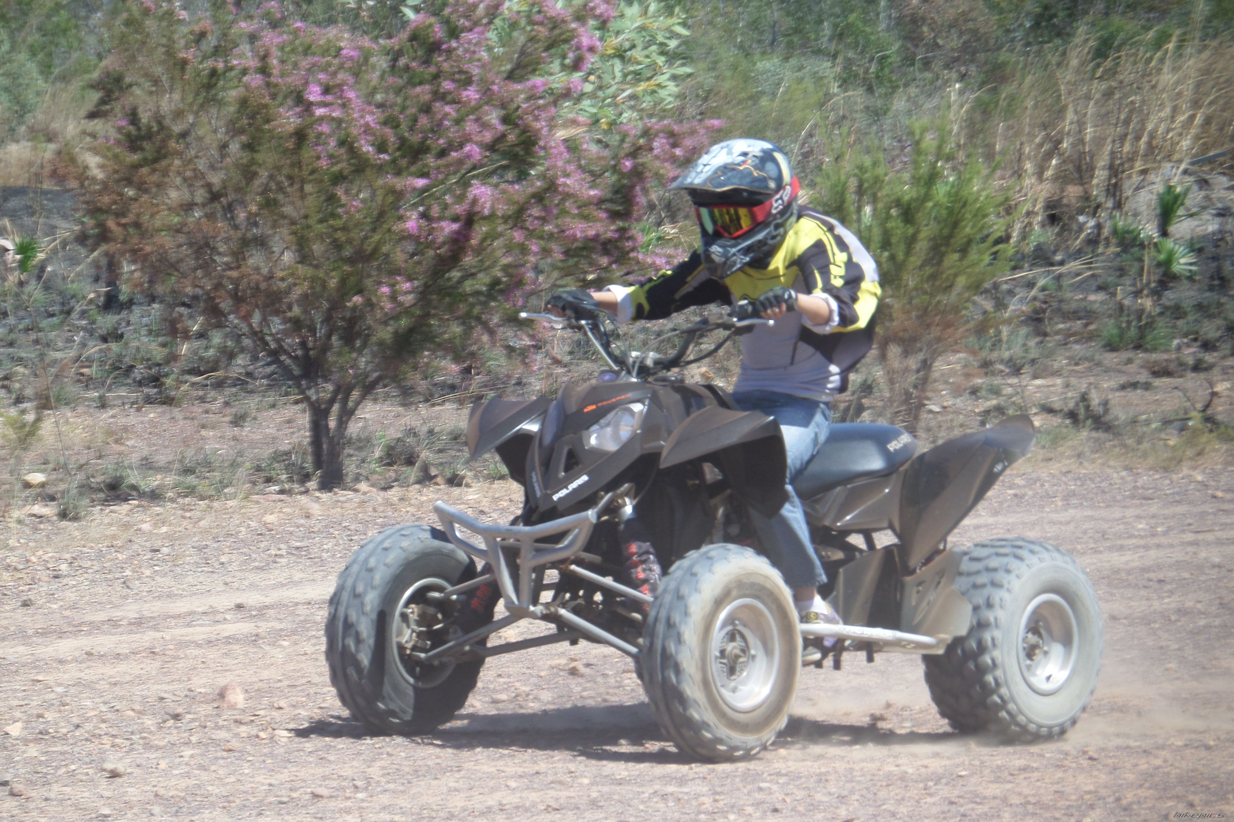 Photo 2584774