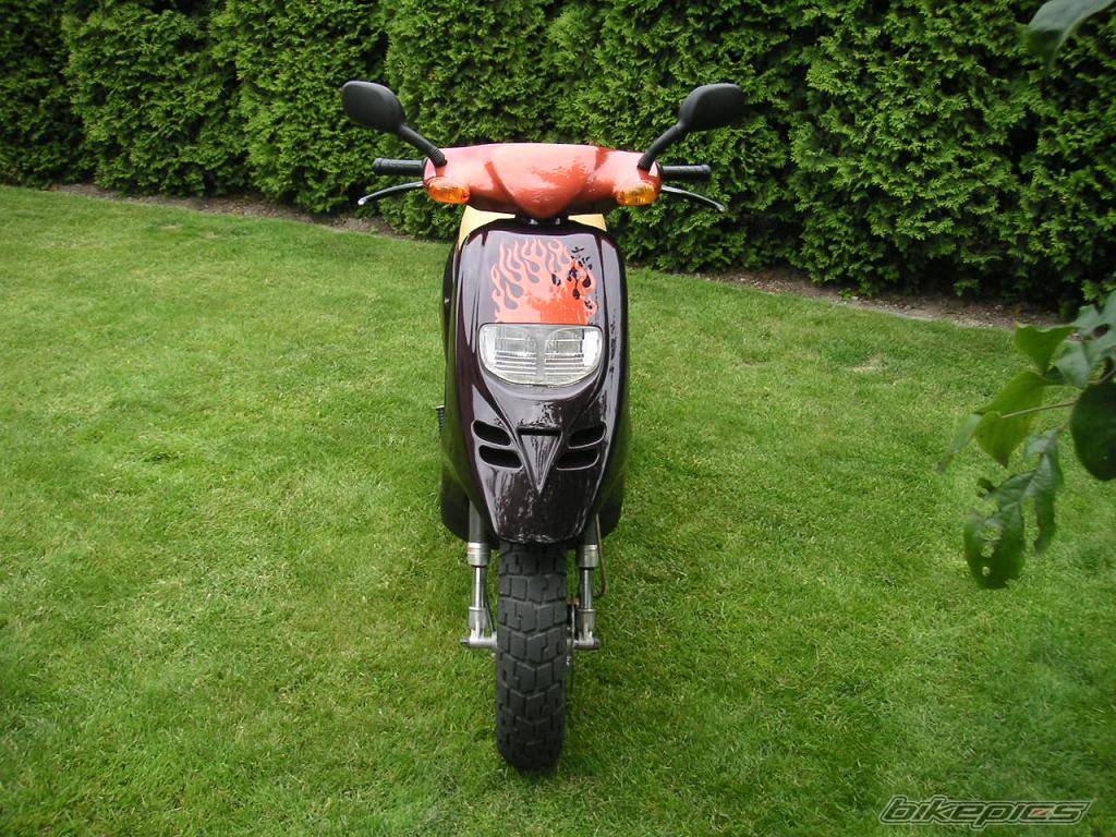 Photo 258482