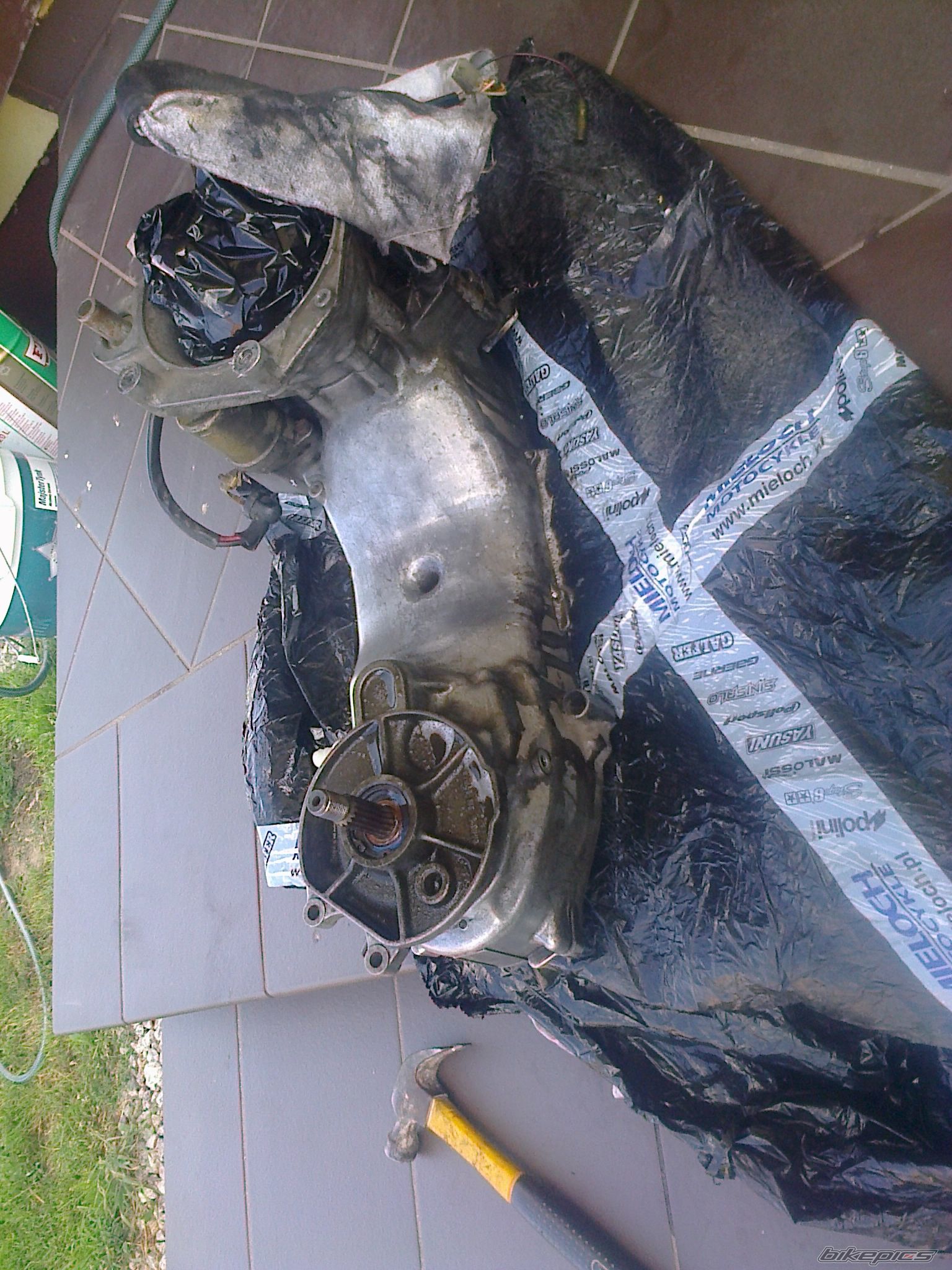Photo 2584865