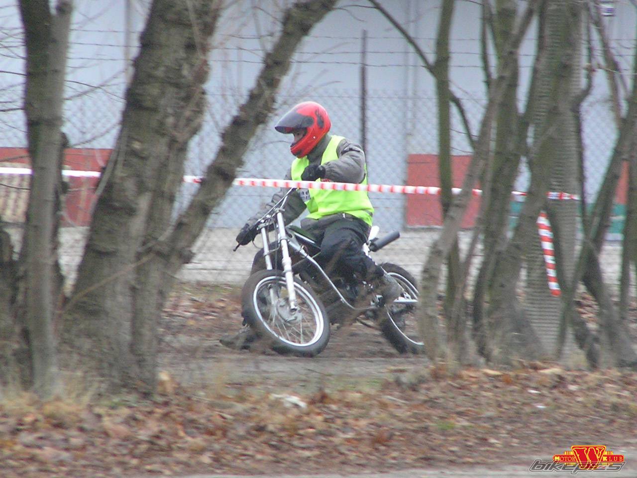 Photo 258494