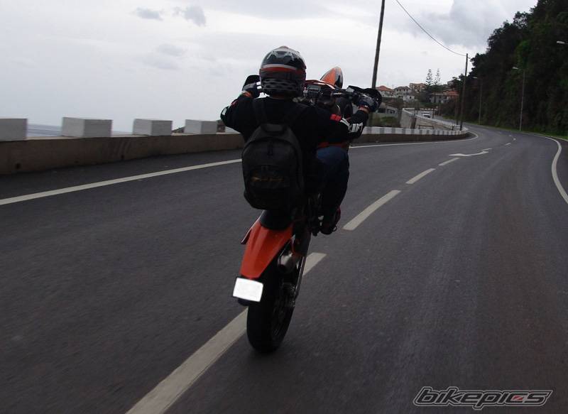 Photo 258512