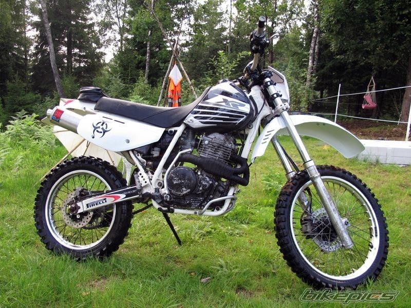 Photo 2585192