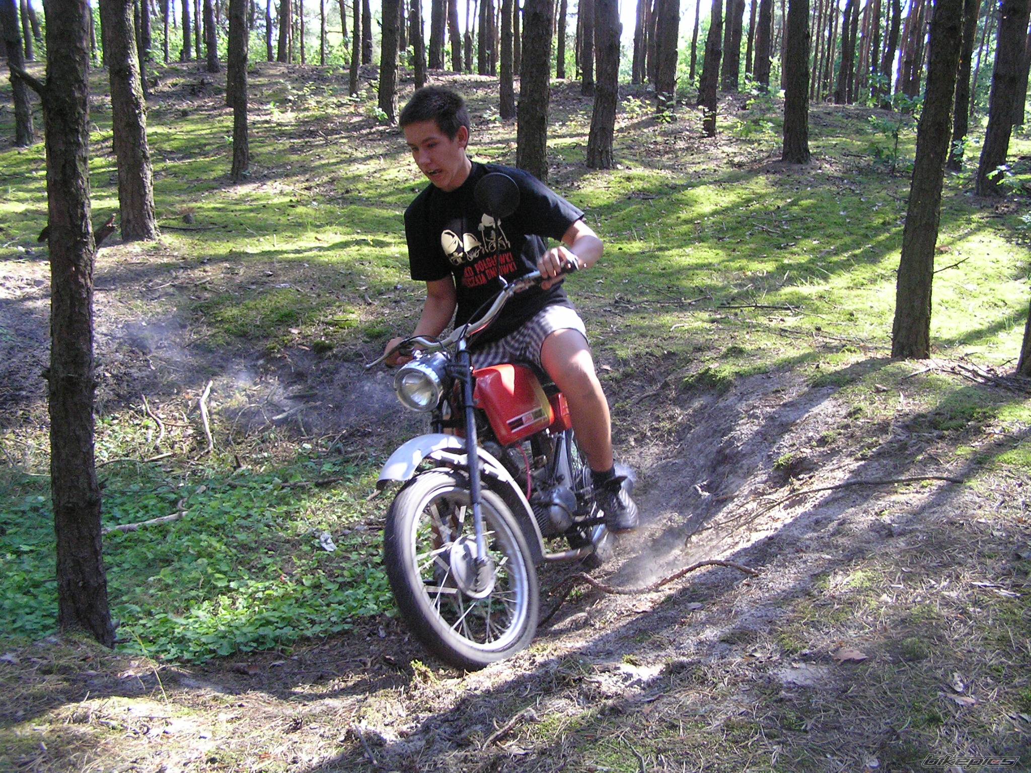 Photo 258523