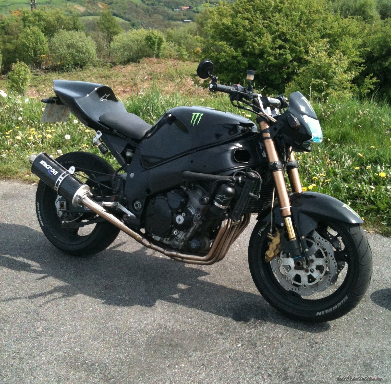 Photo 2585251