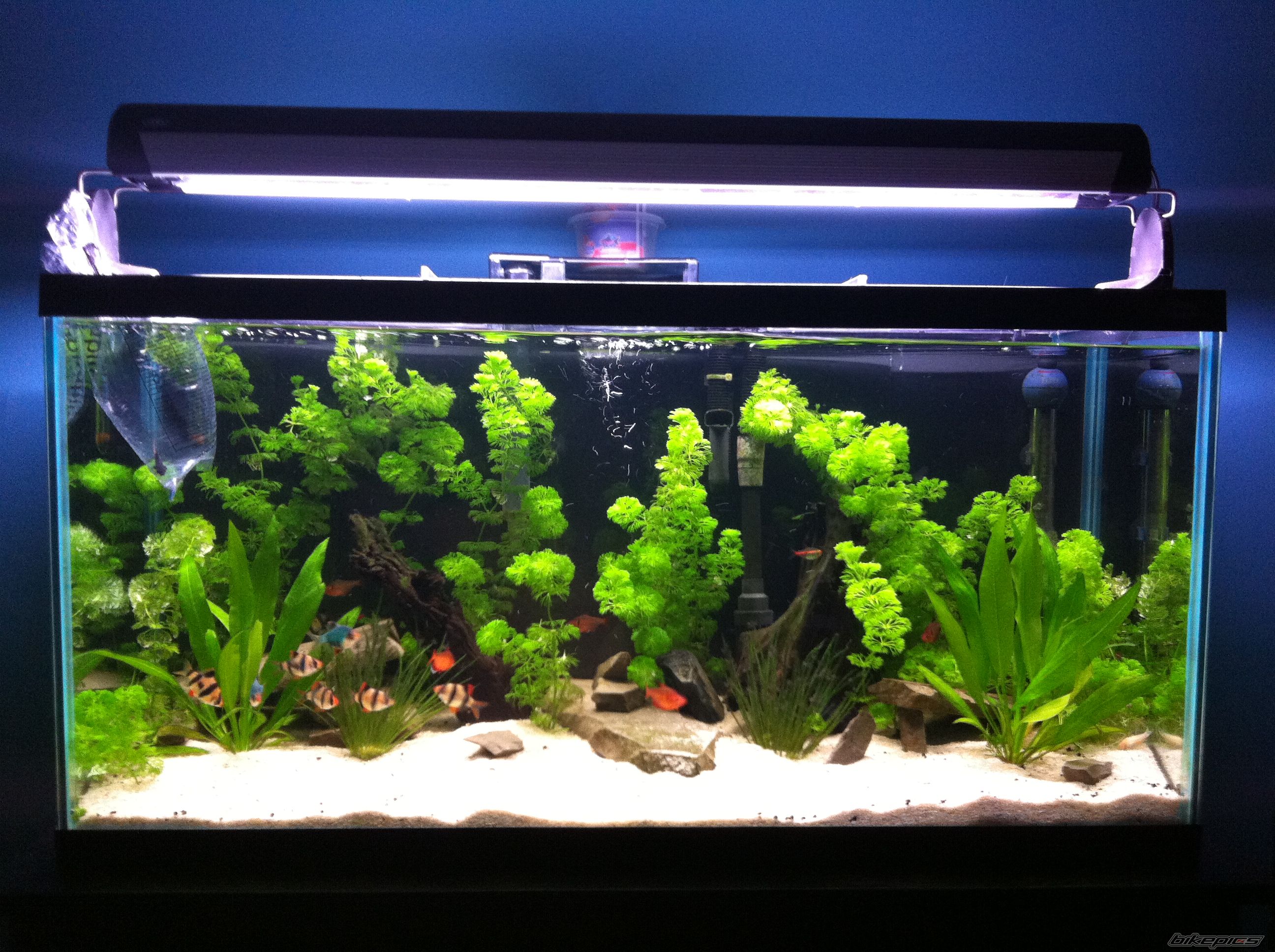 Photo 2585301