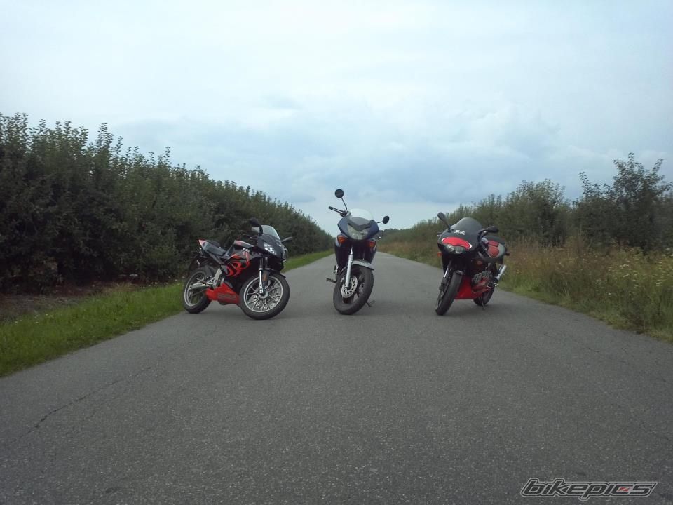 Photo 2585355