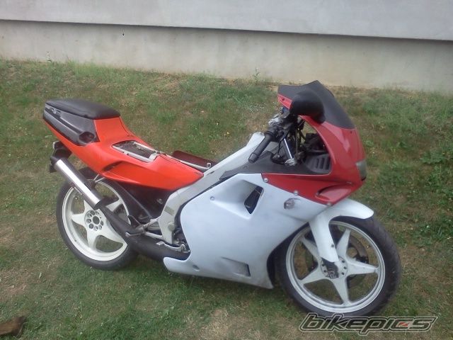 Photo 2585381