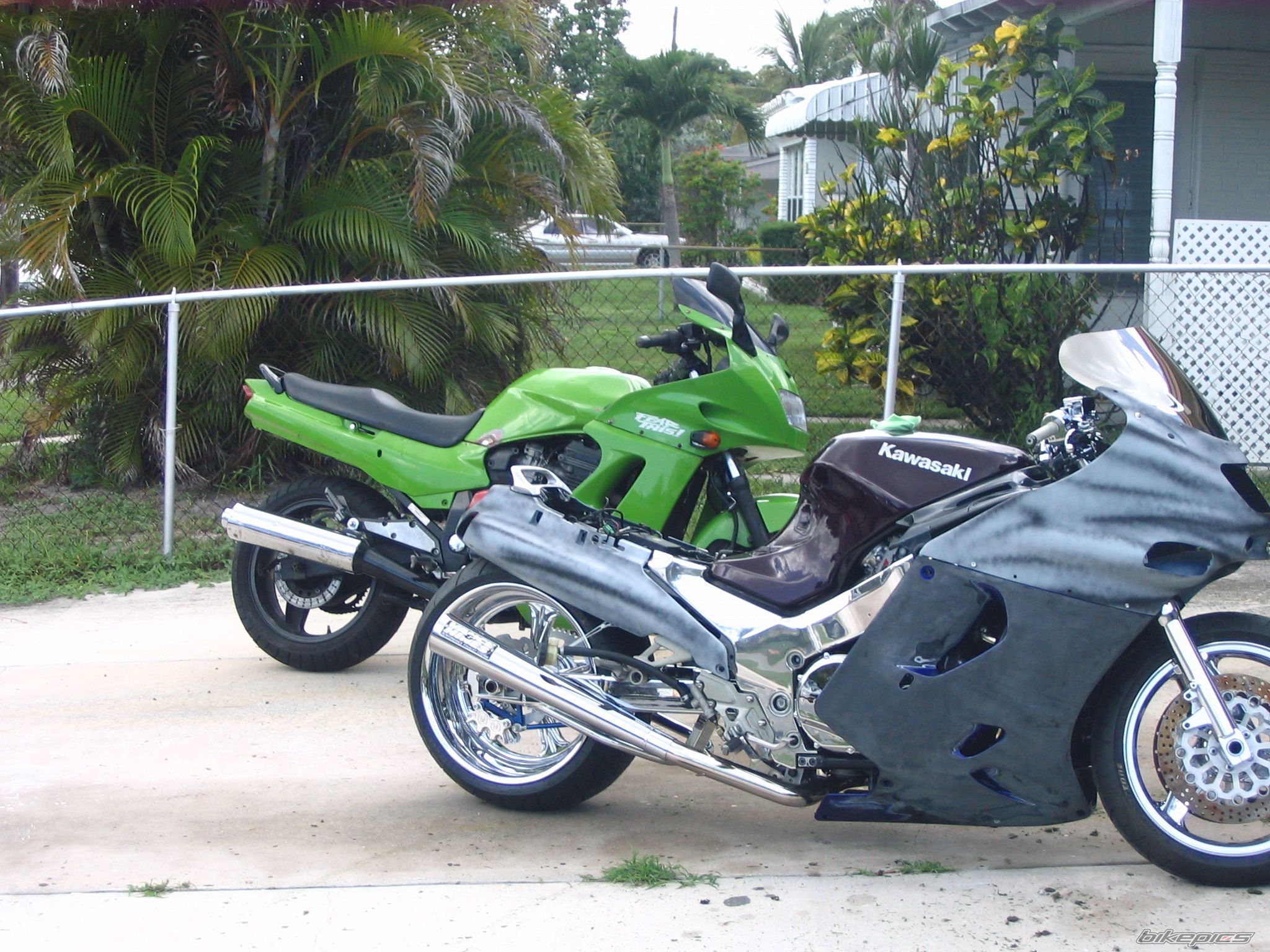 Photo 2585397