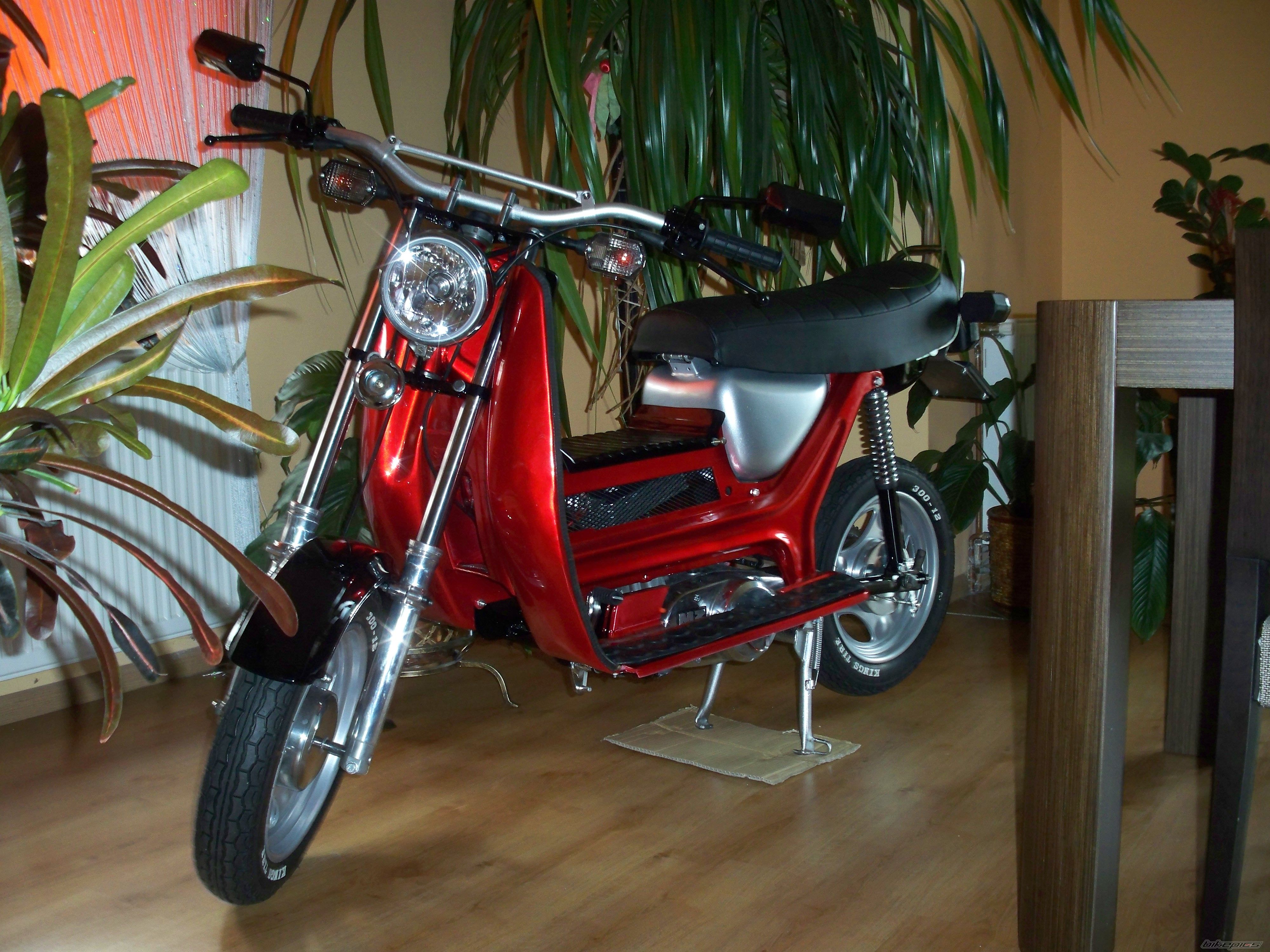 Photo 2585454