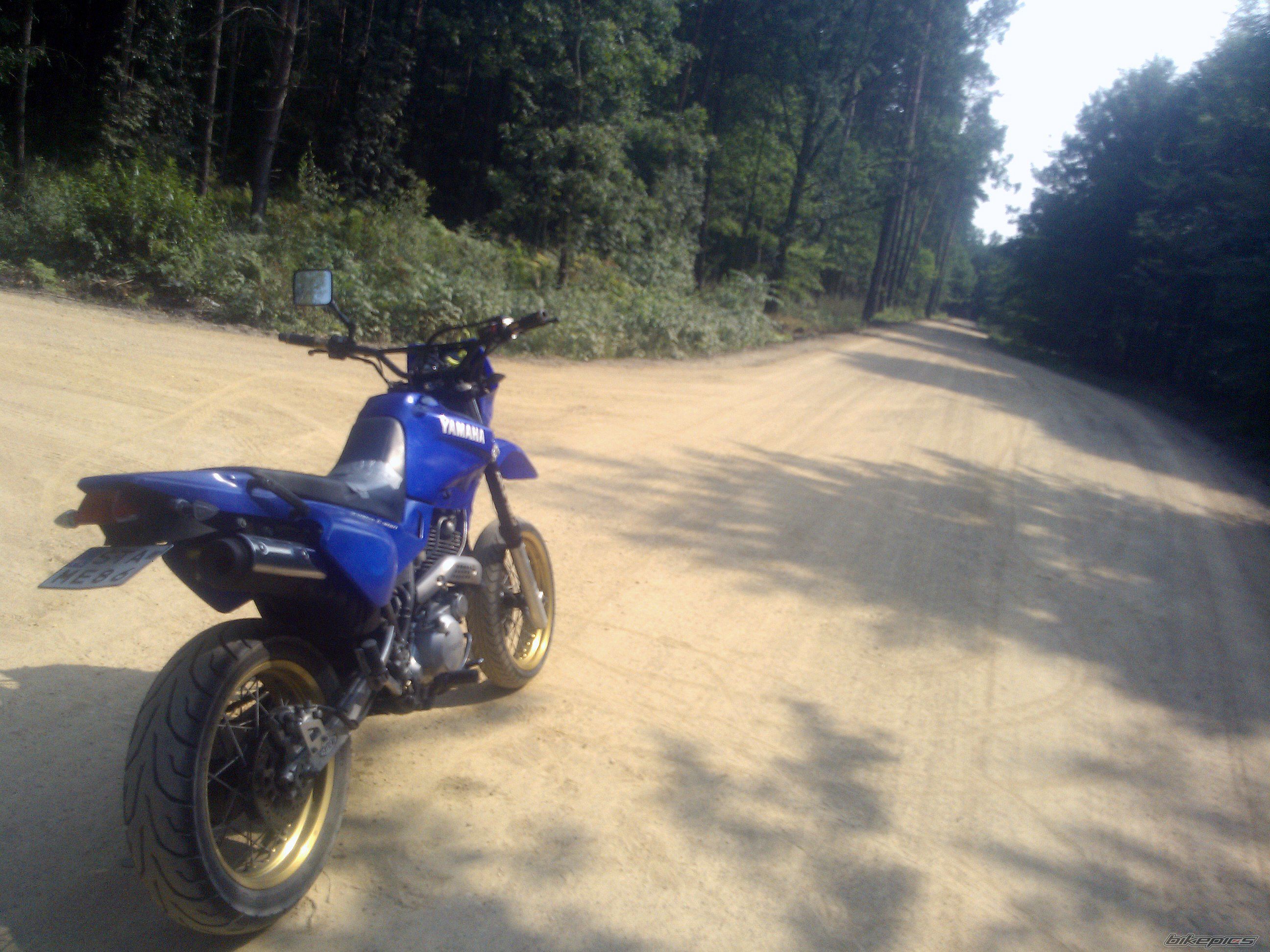 Photo 2585479