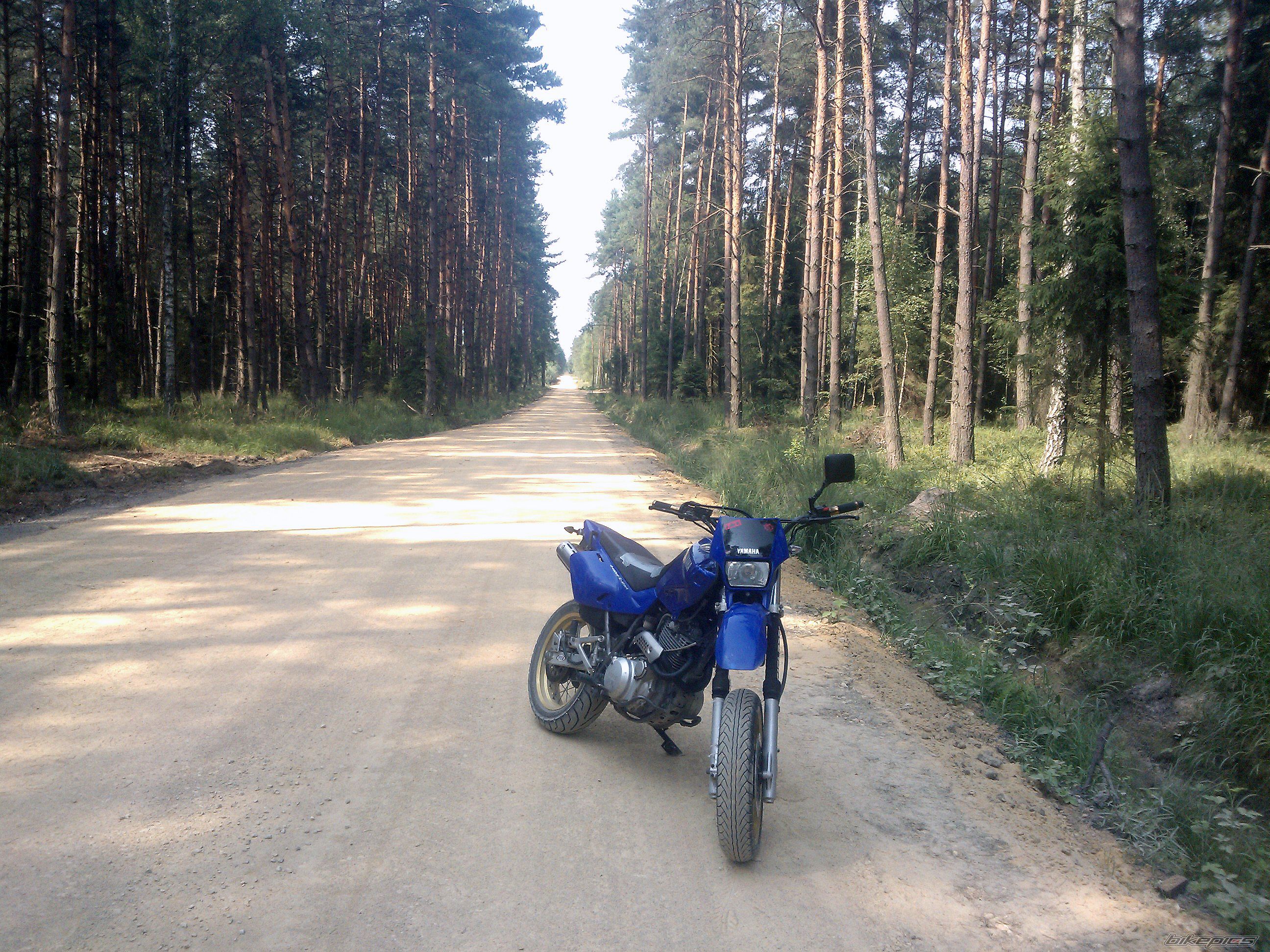 Photo 2585480
