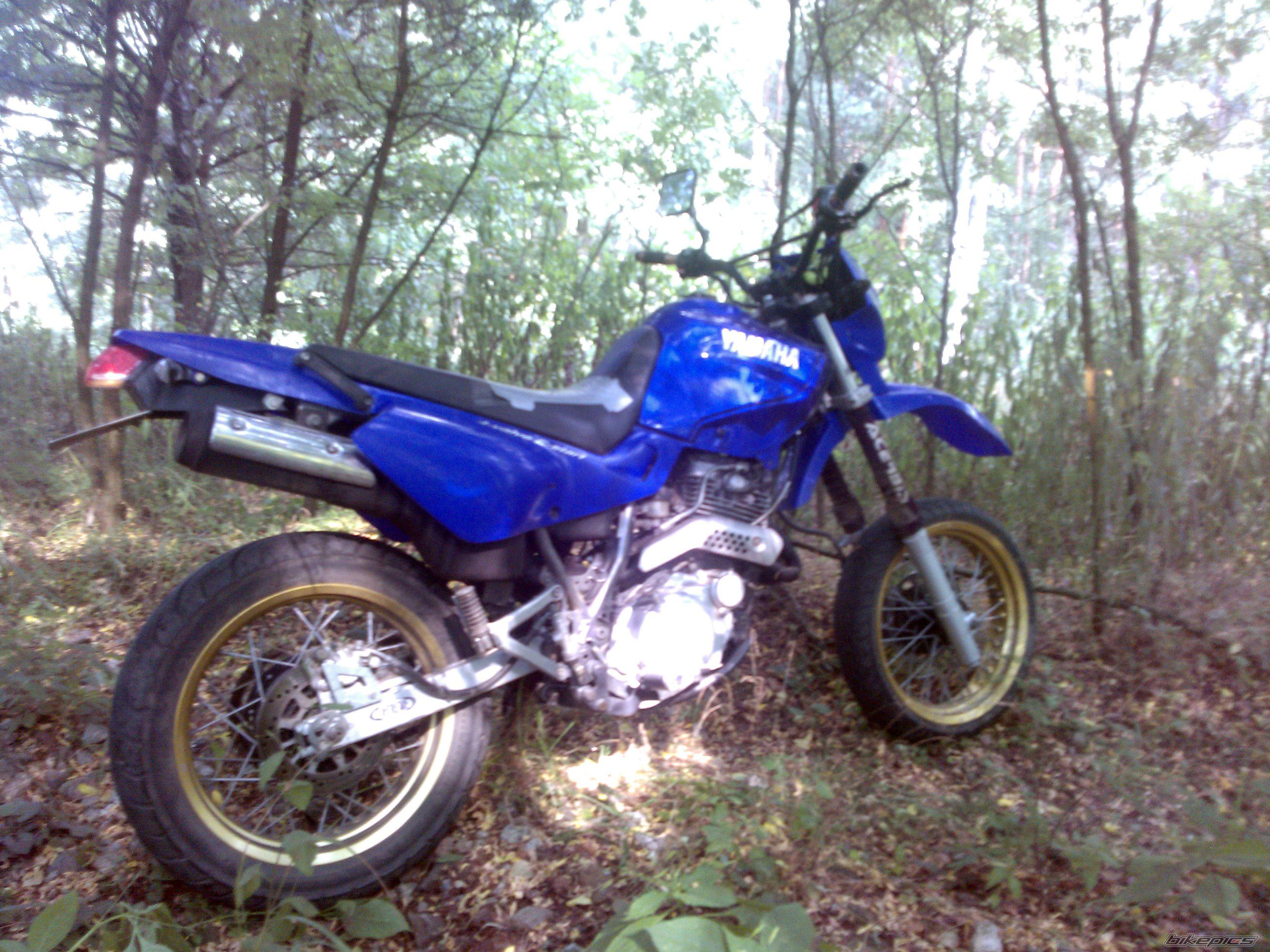 Photo 2585483