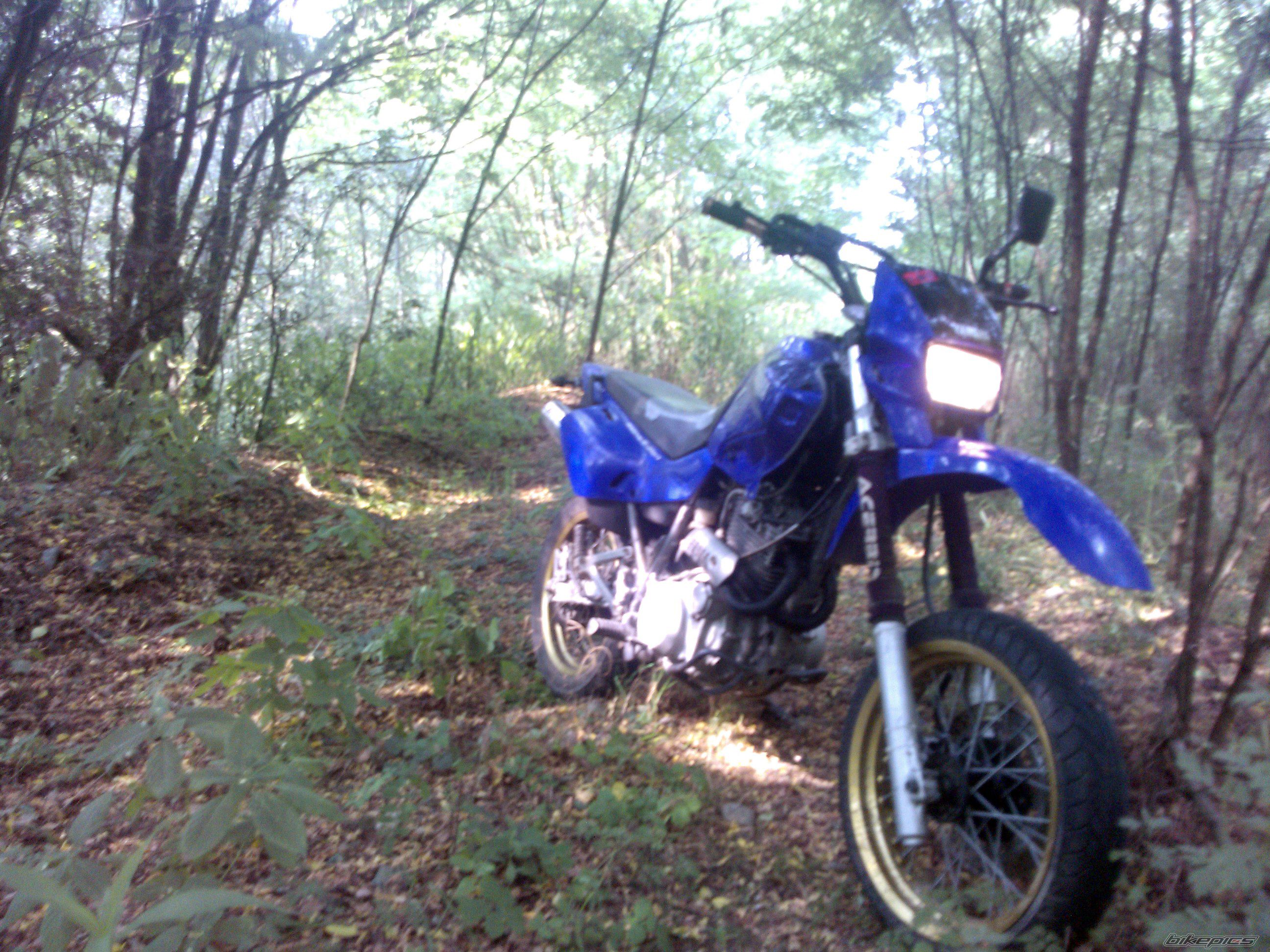 Photo 2585484