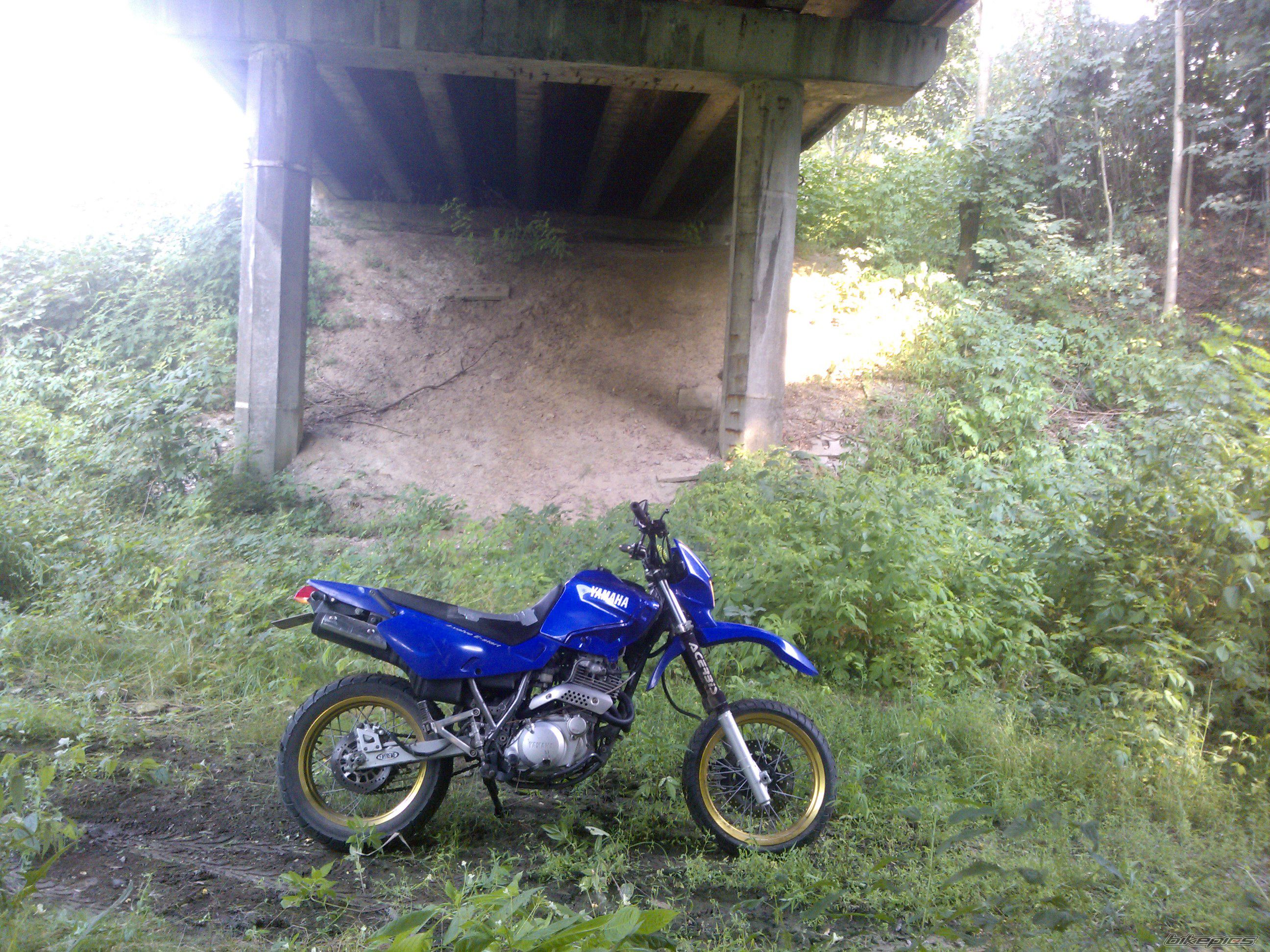 Photo 2585485