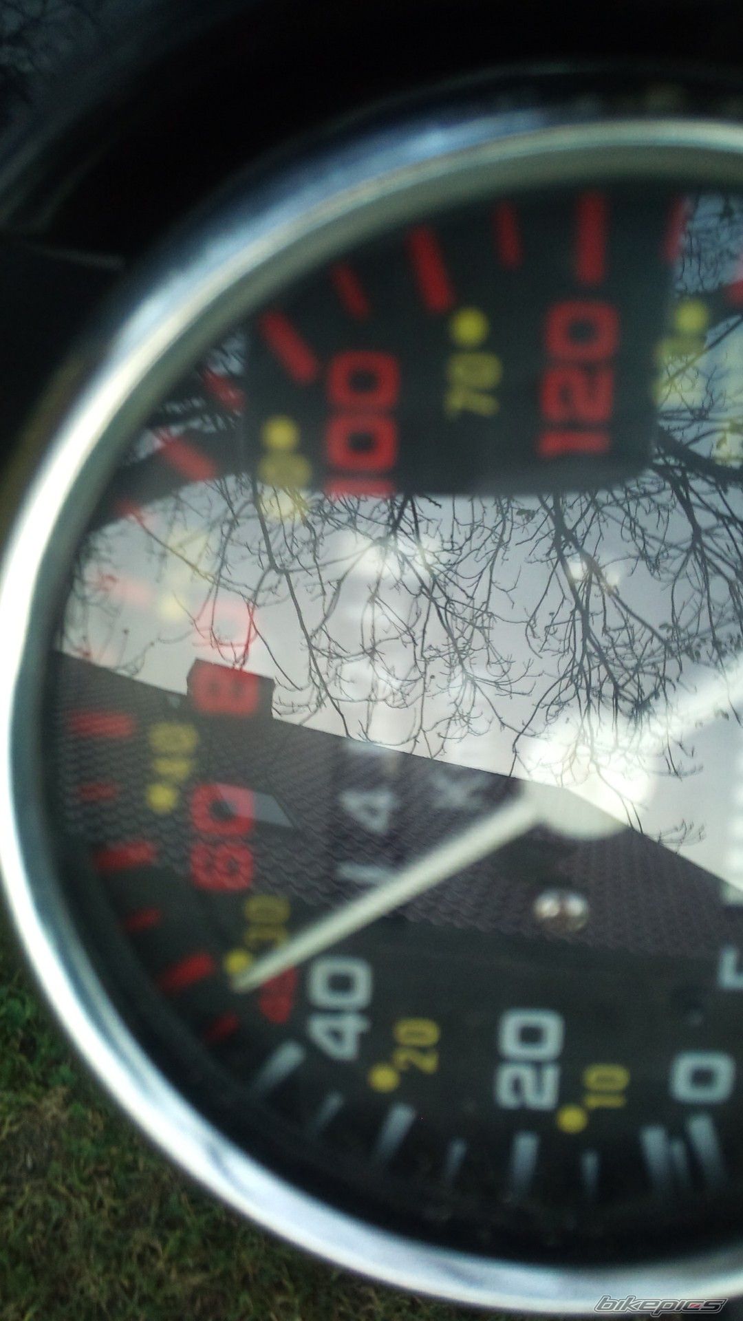 Photo 2585540