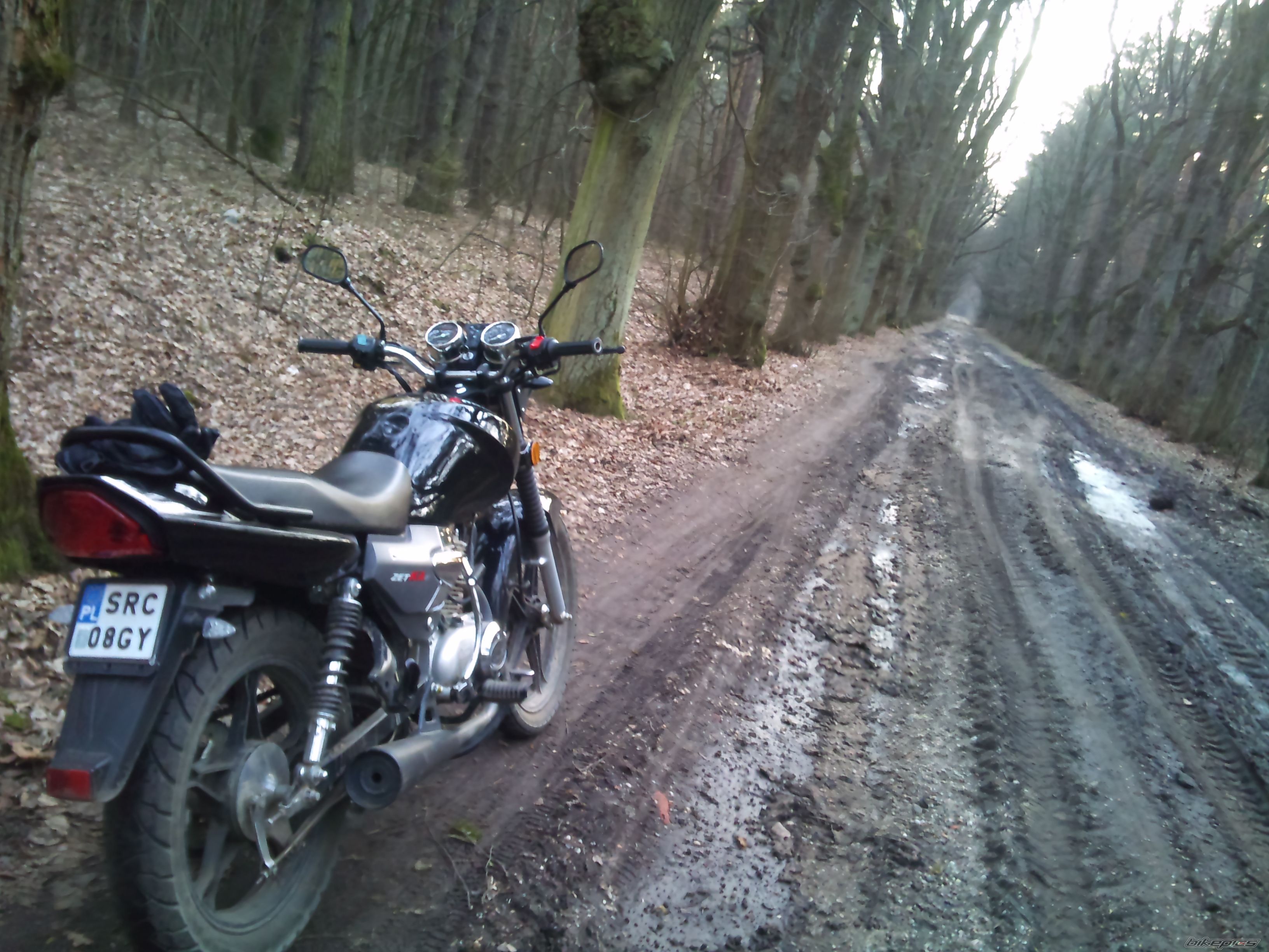 Photo 2585547