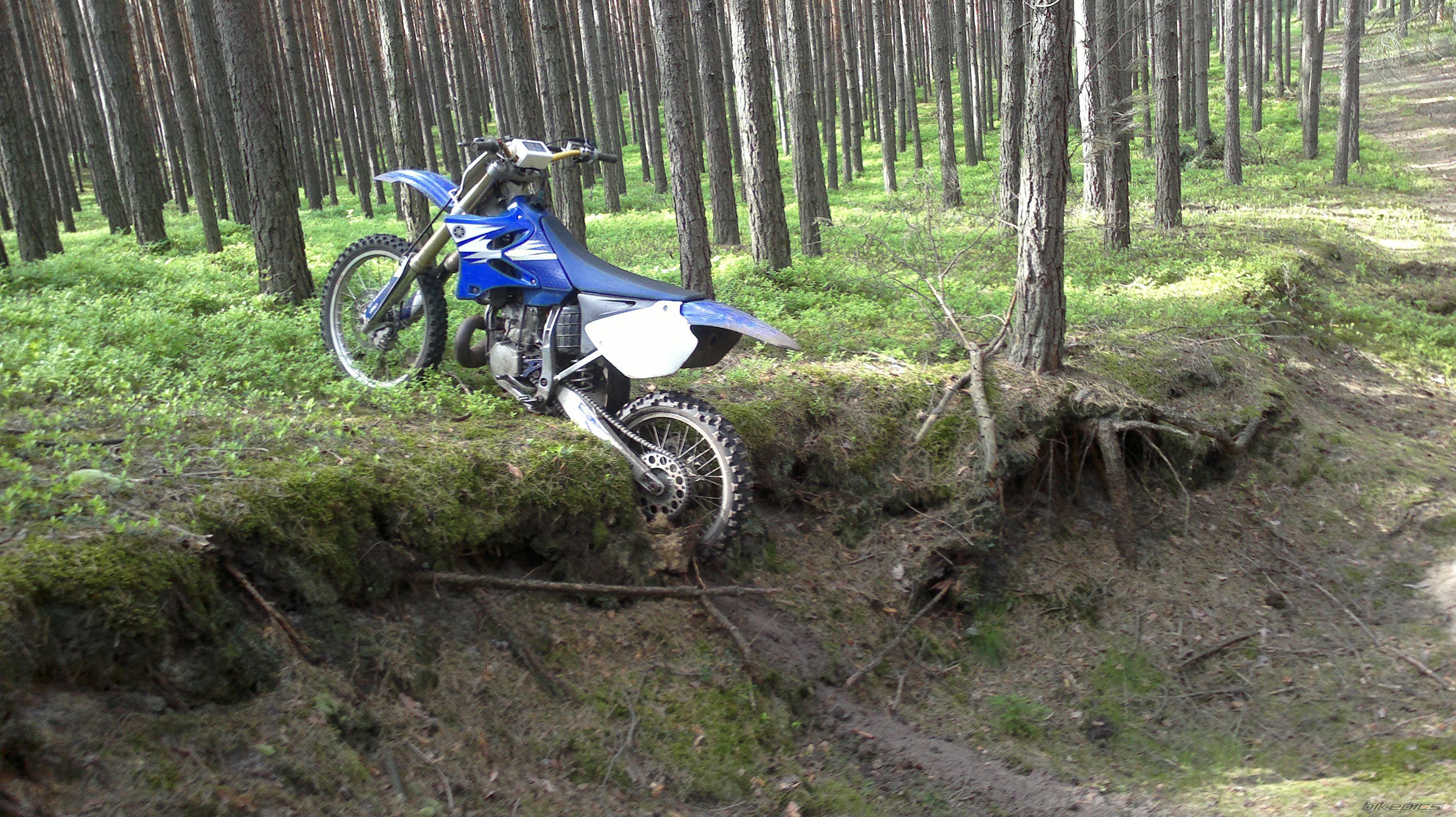 Photo 2585570