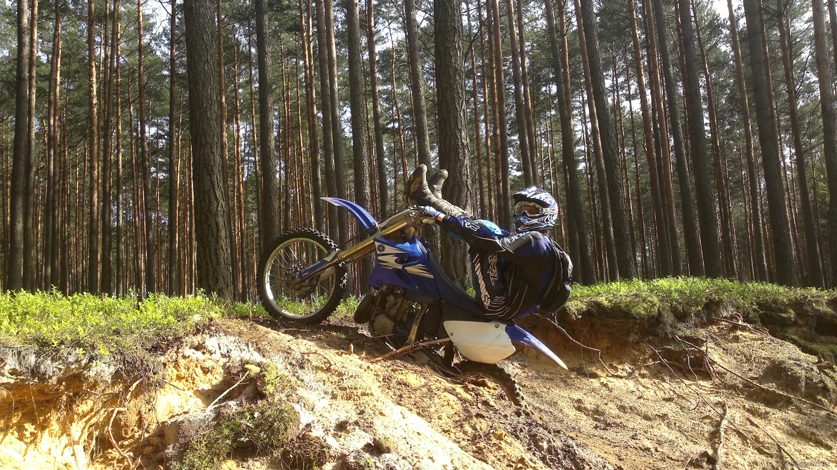 Photo 2585575