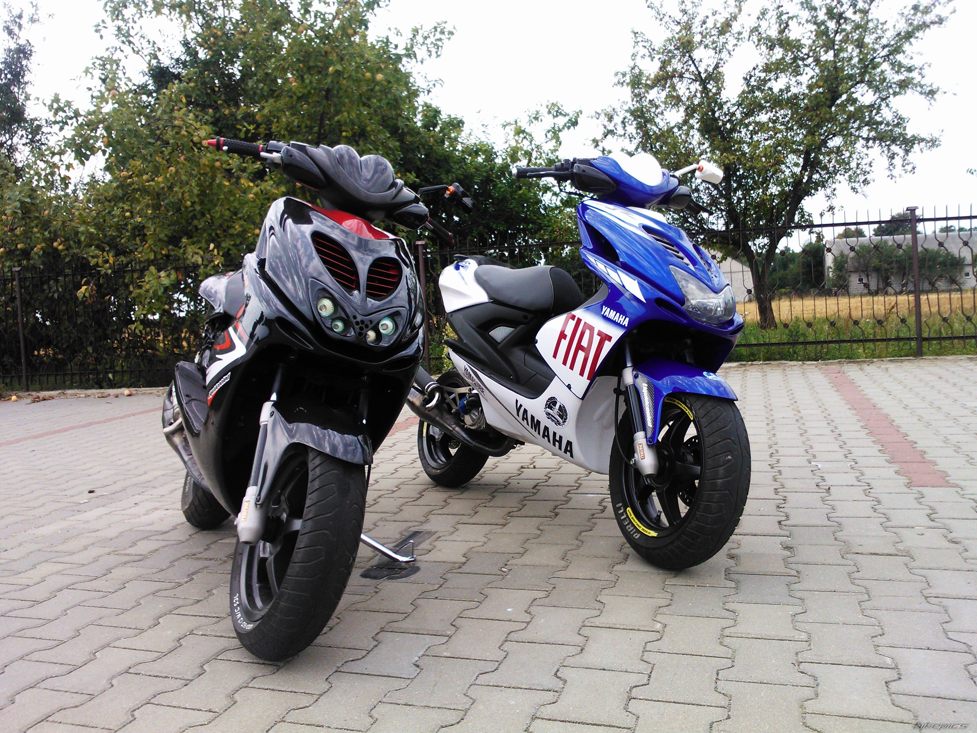 Photo 2585651