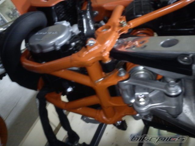 Photo 2585750
