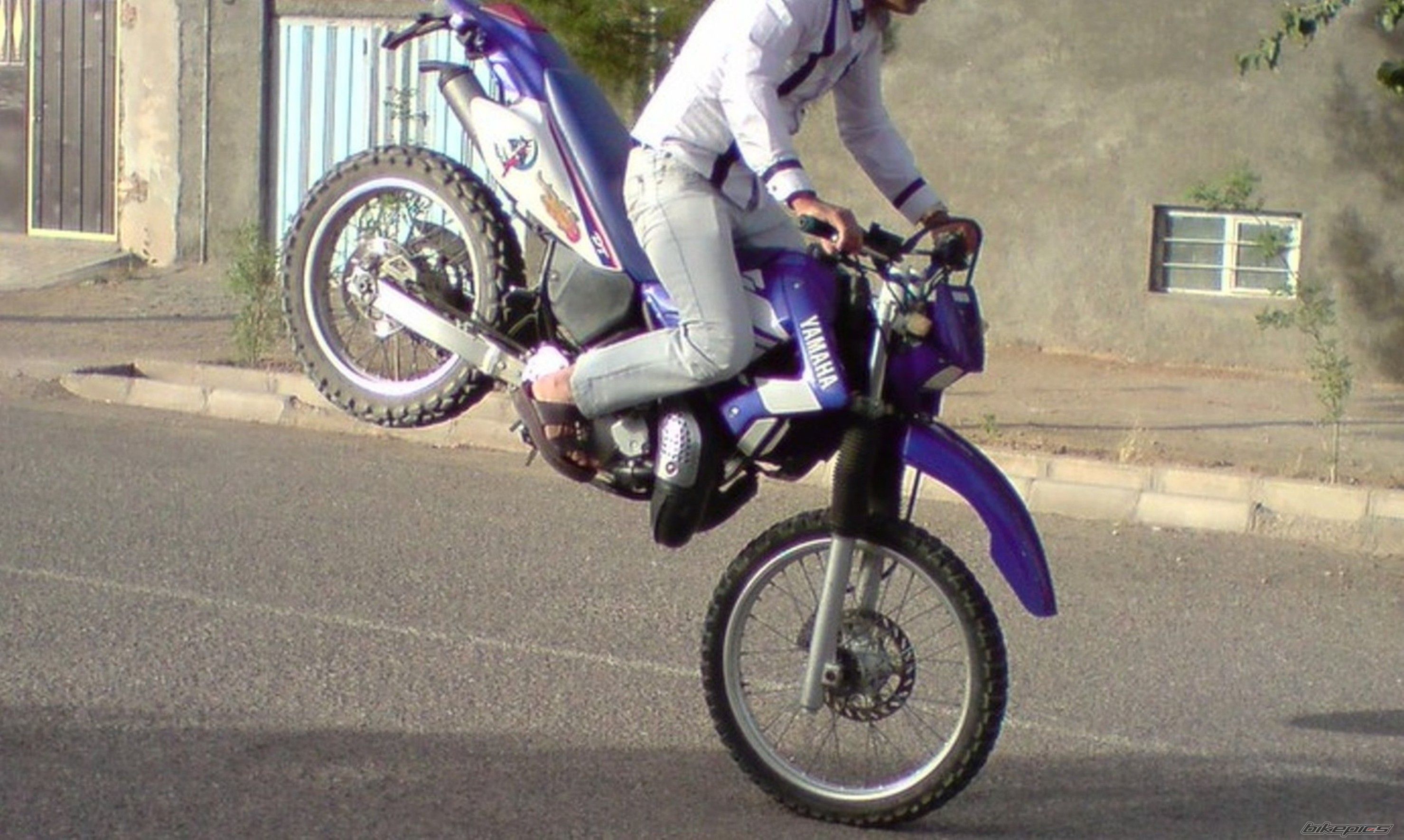 Photo 2585782