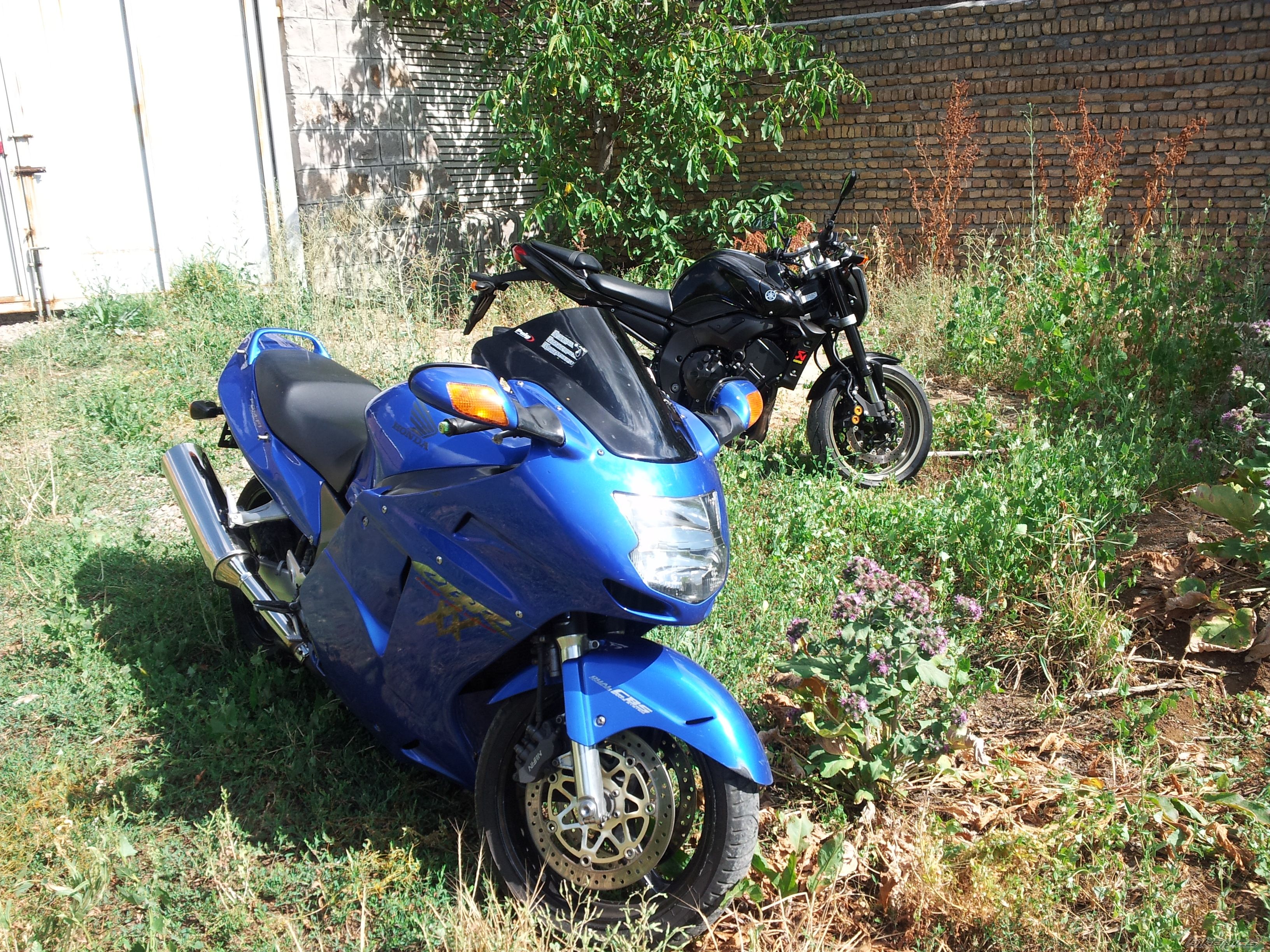 Photo 2585866