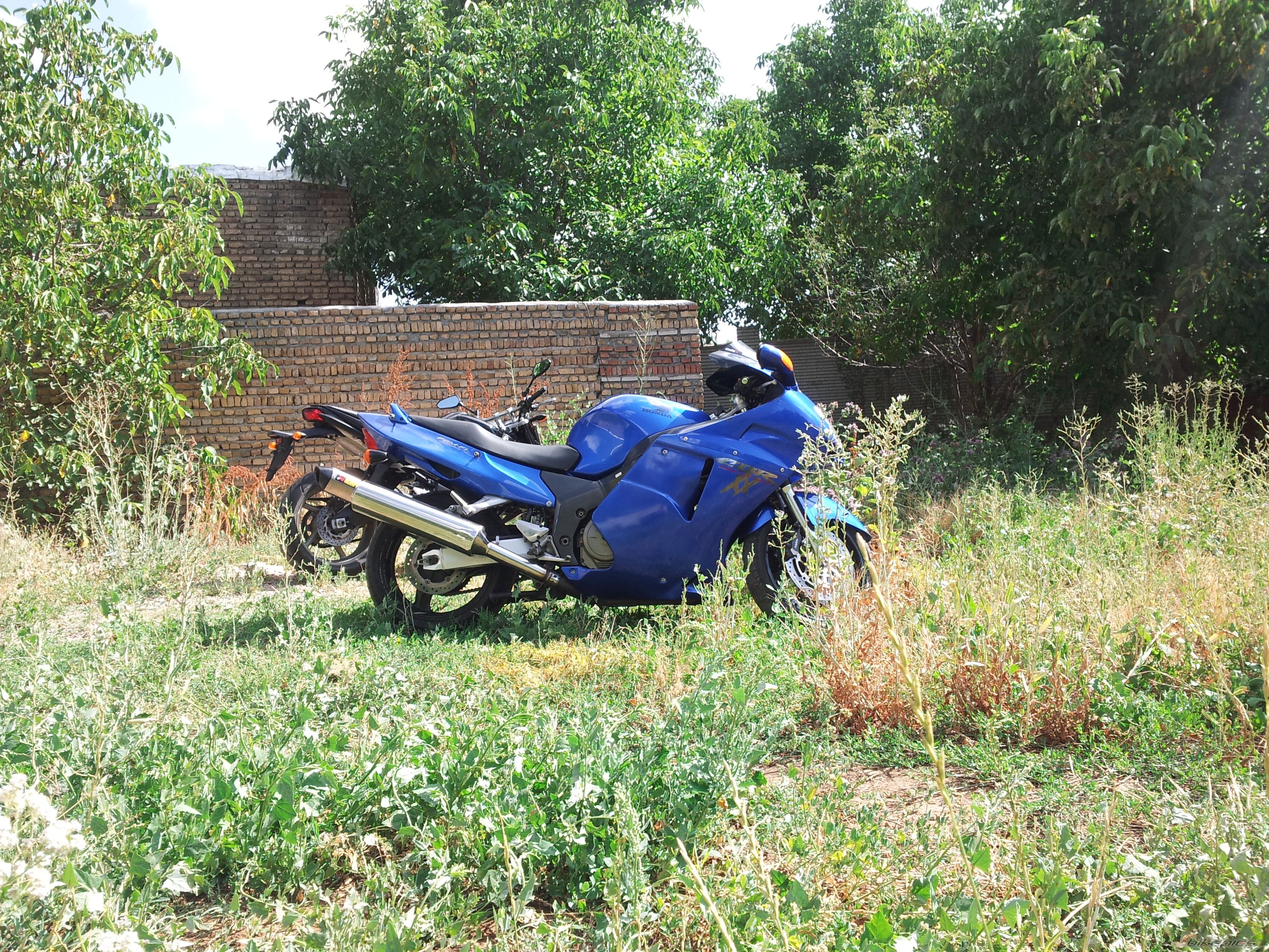 Photo 2585868
