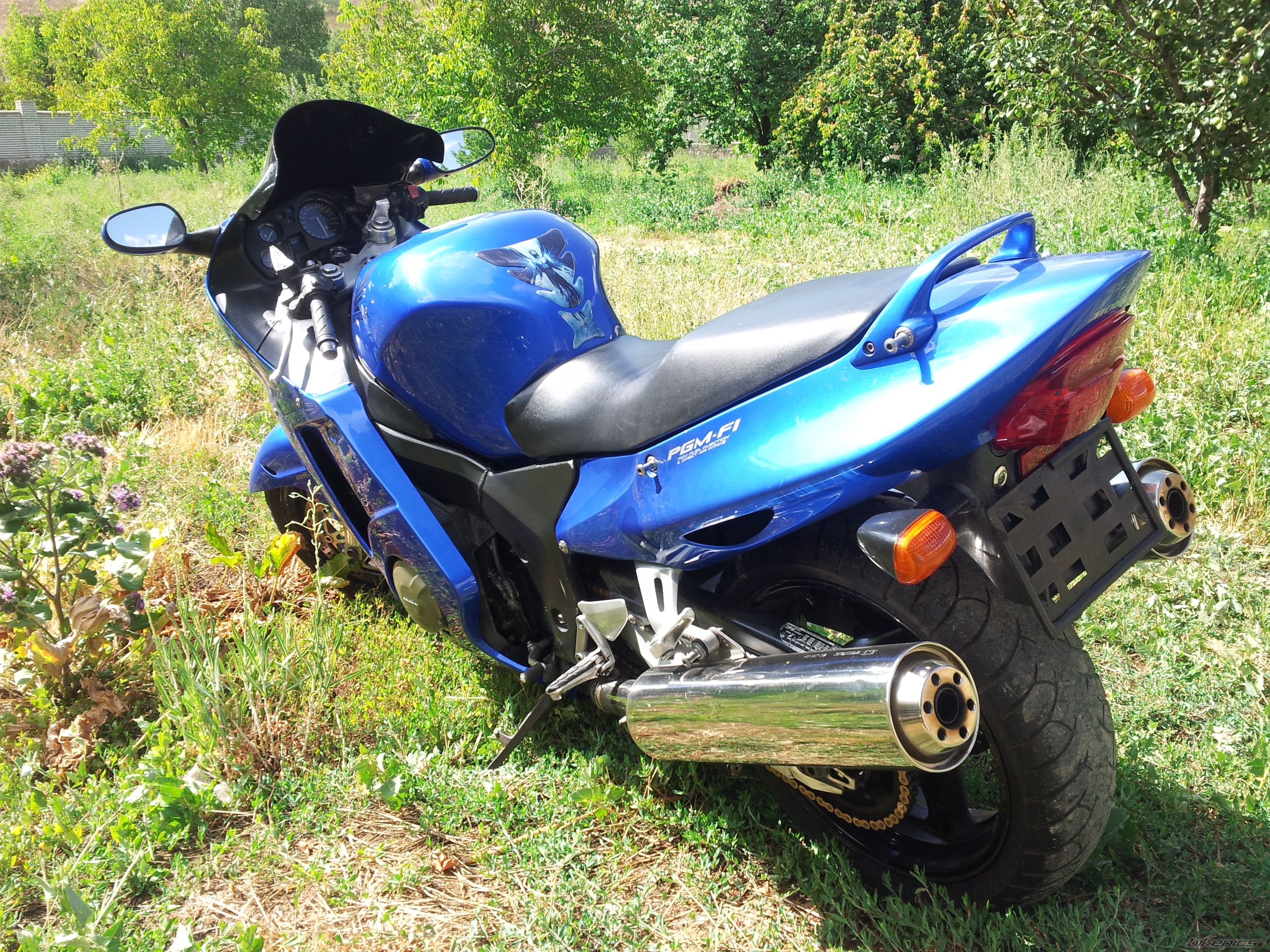 Photo 2585870
